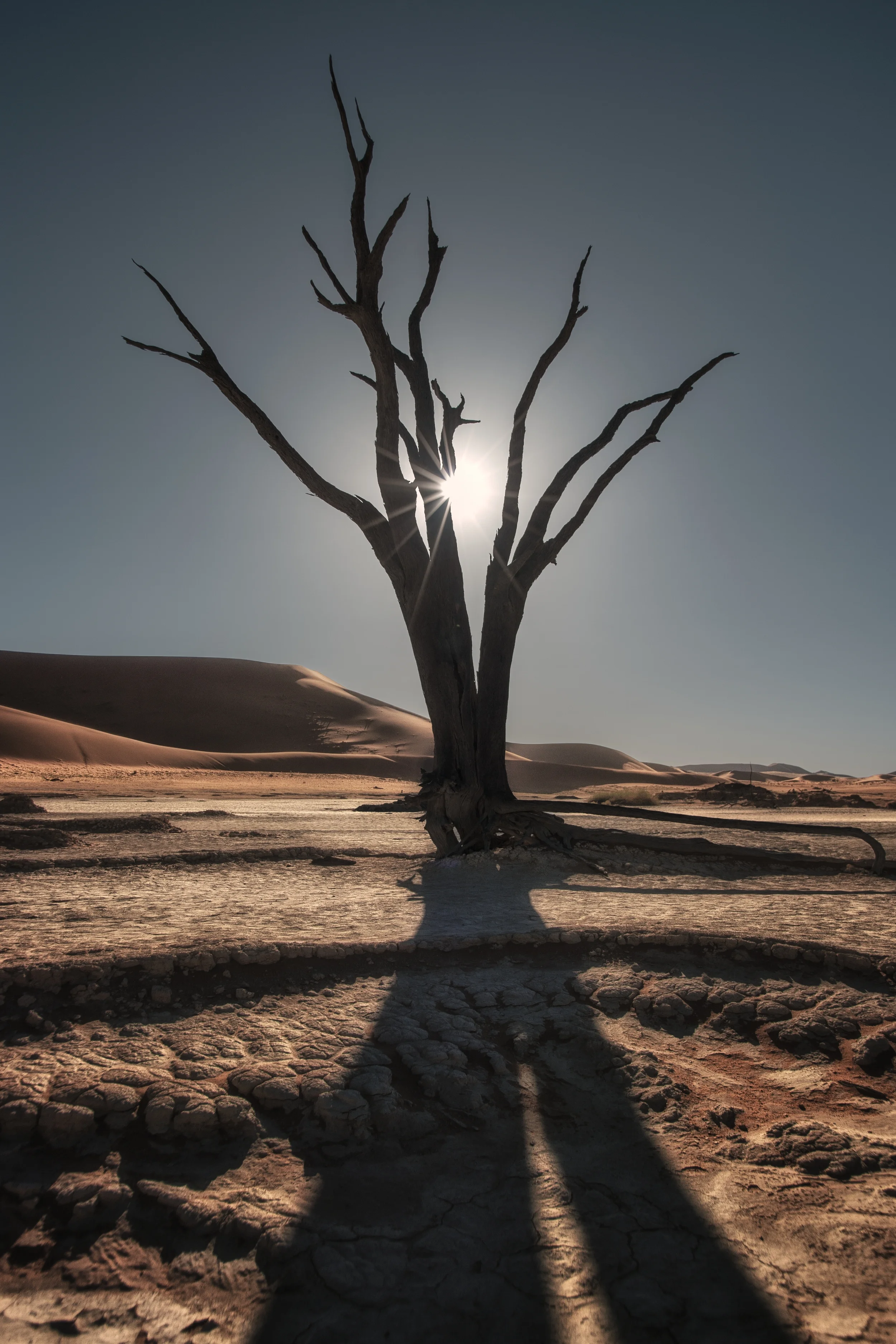 DEAD VLEI, NAMIBIA