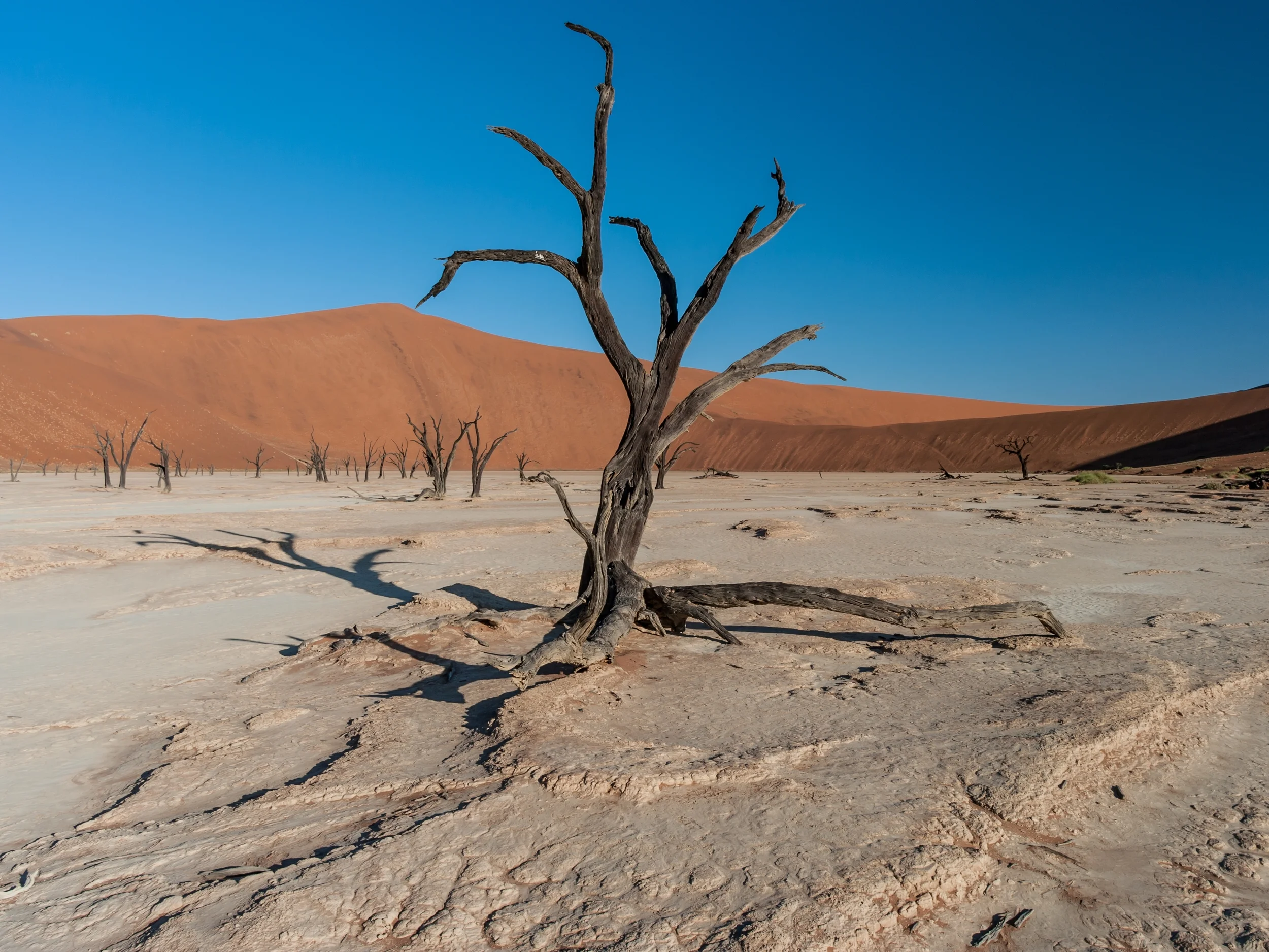 DEAD VLEI, NAMIBIA