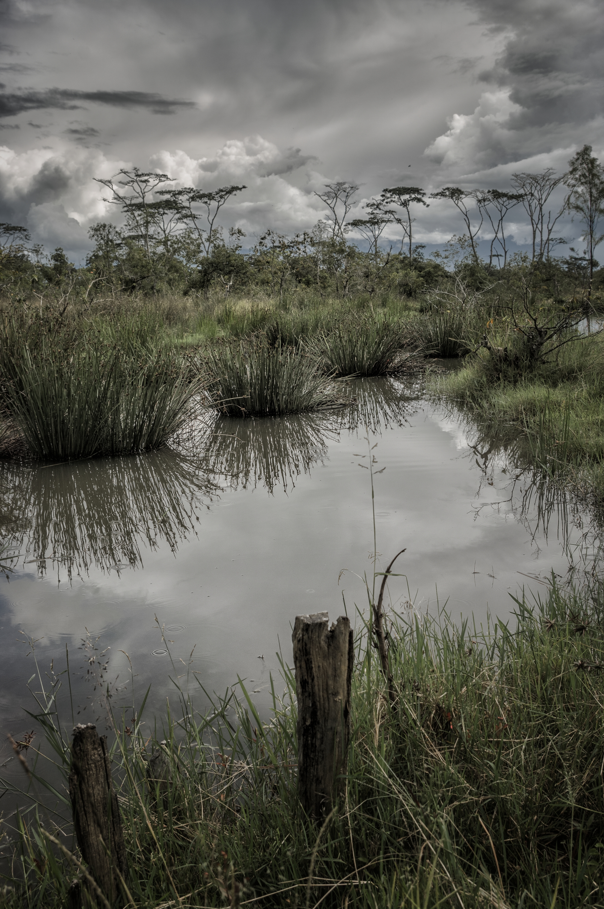  WEST PAPUA, INDONESIA 