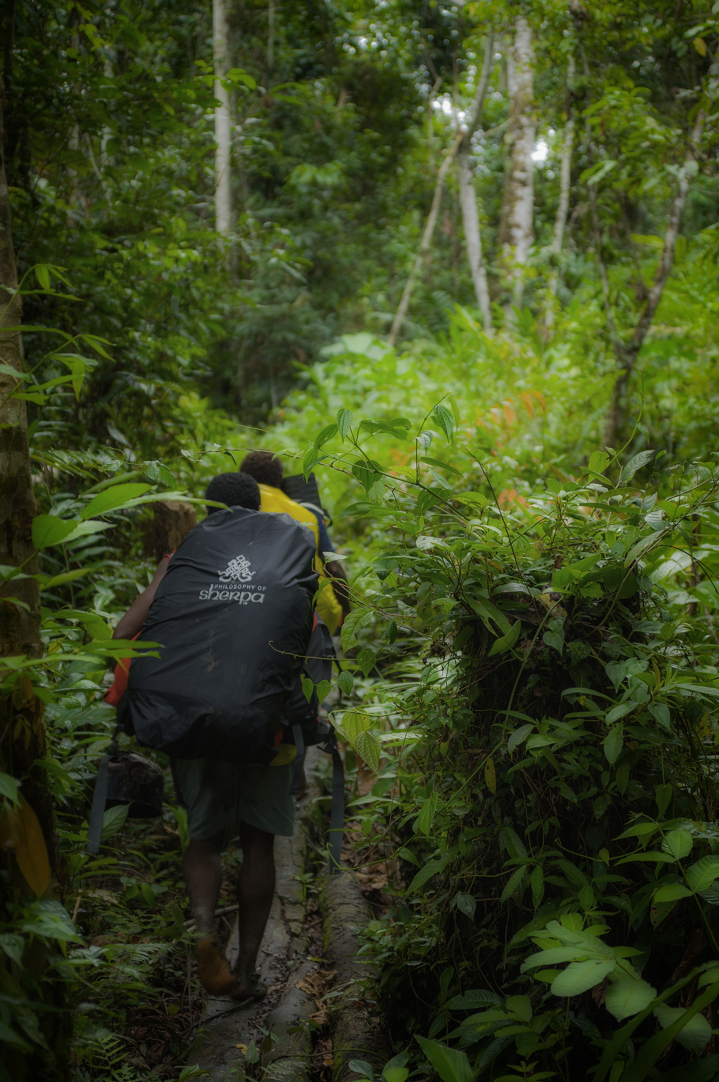  WEST PAPUA, INDONESIA 