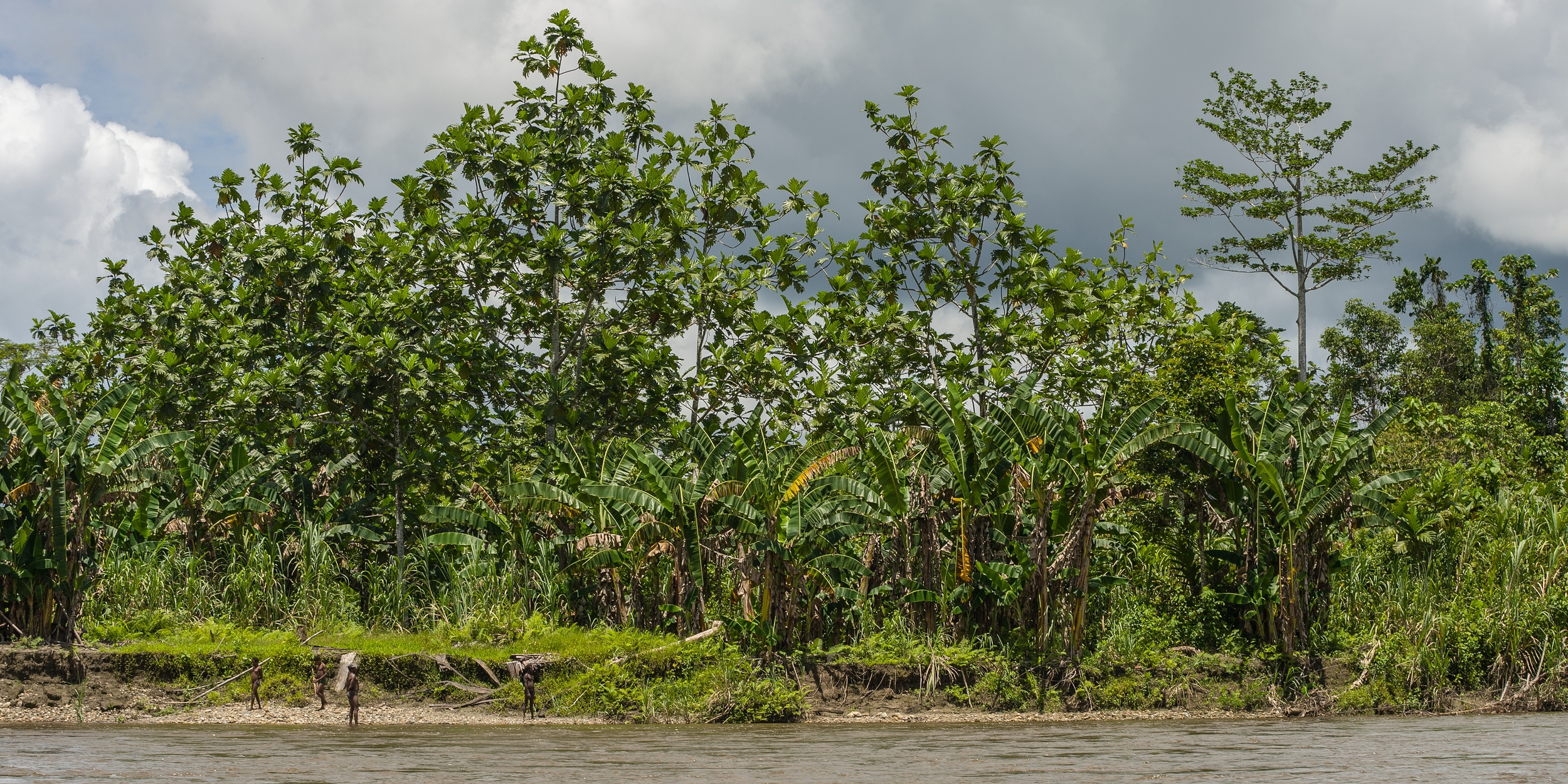  WEST PAPUA, INDONESIA 