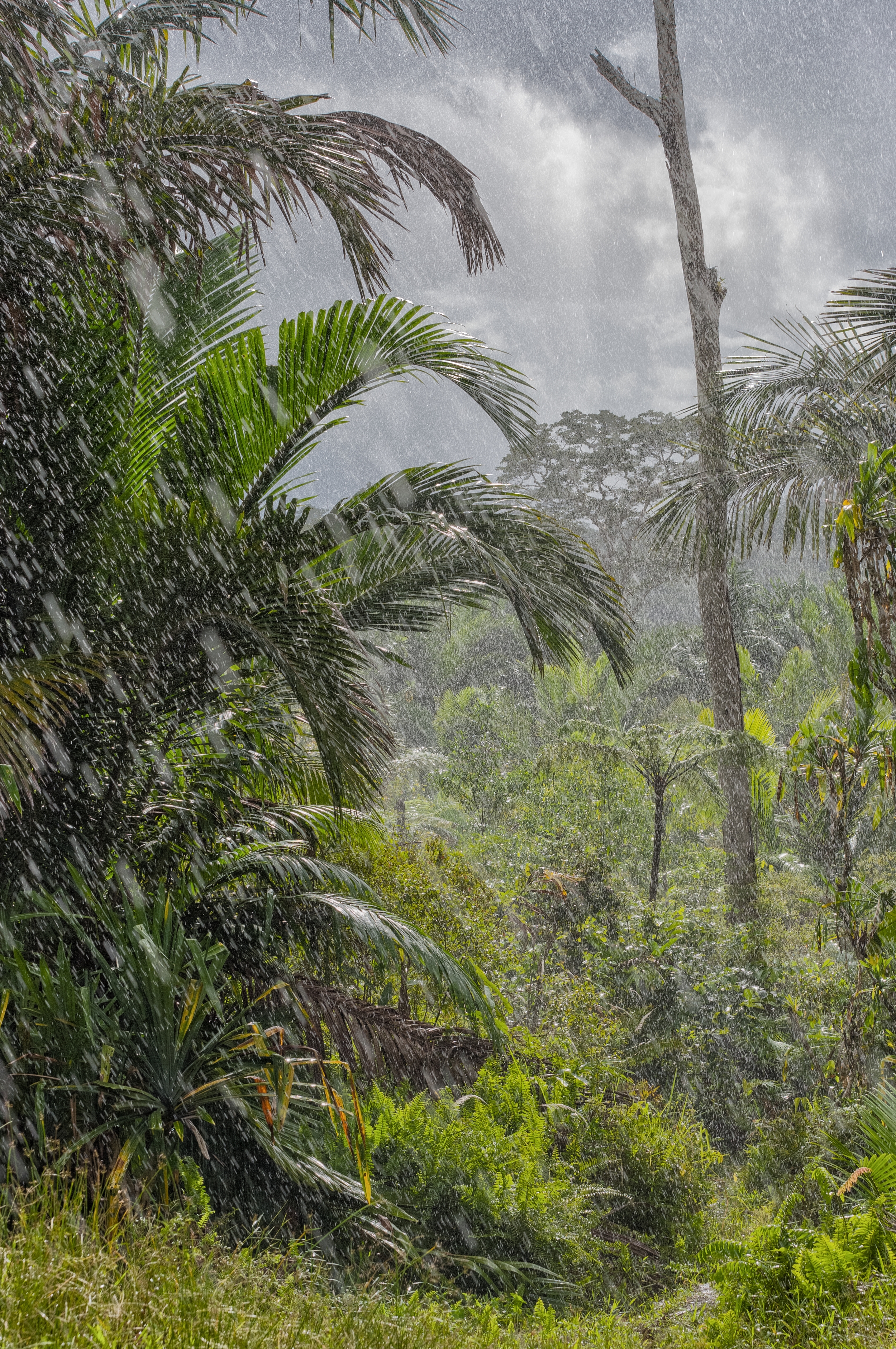  WEST PAPUA, INDONESIA 