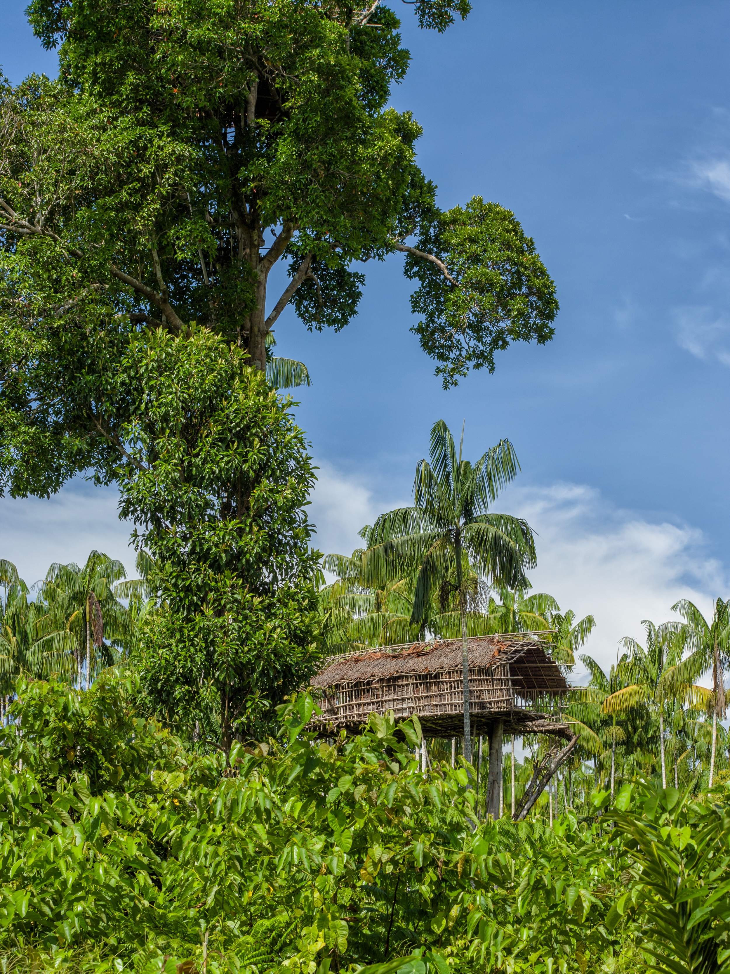  WEST PAPUA, INDONESIA 