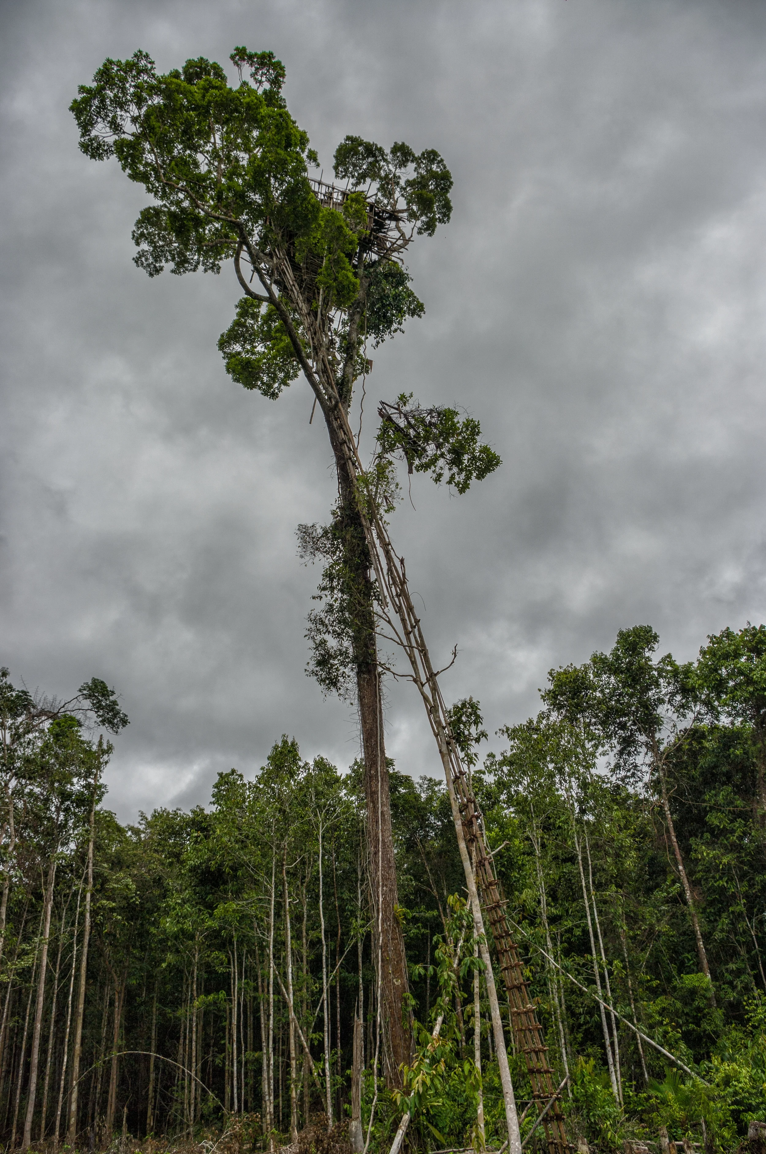 WEST PAPUA, INDONESIA
