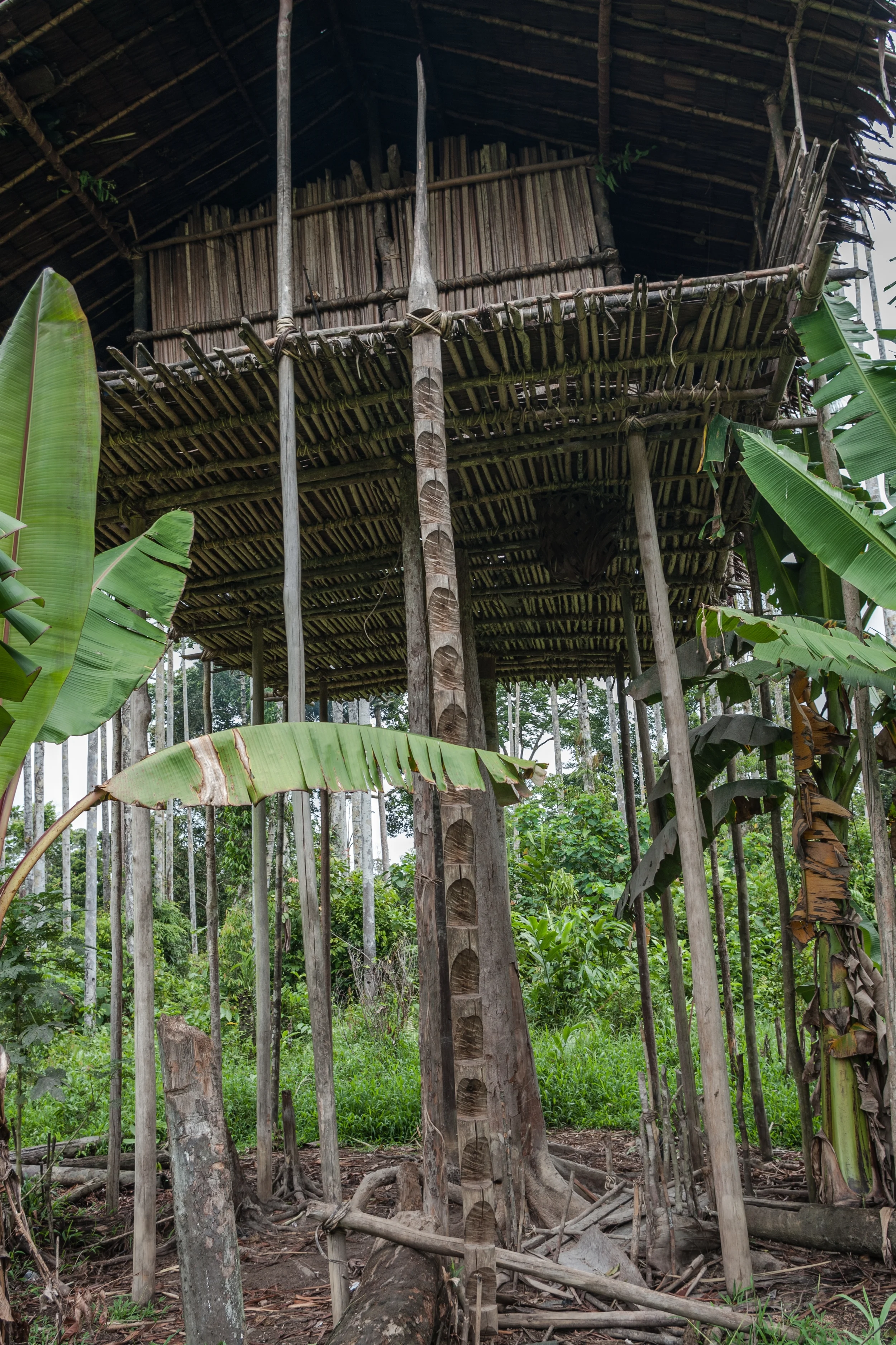 WEST PAPUA, INDONESIA