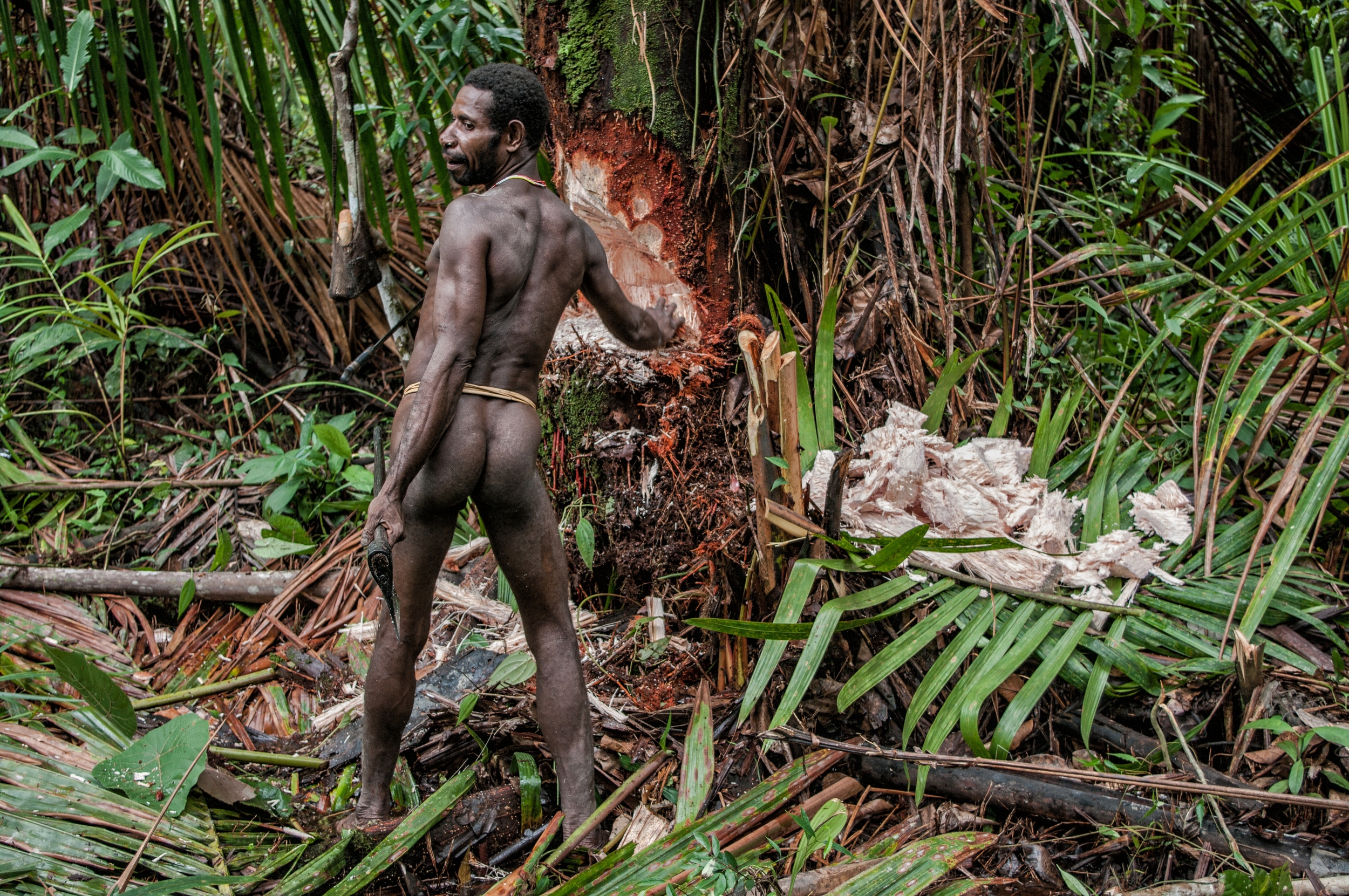  WEST PAPUA, INDONESIA 