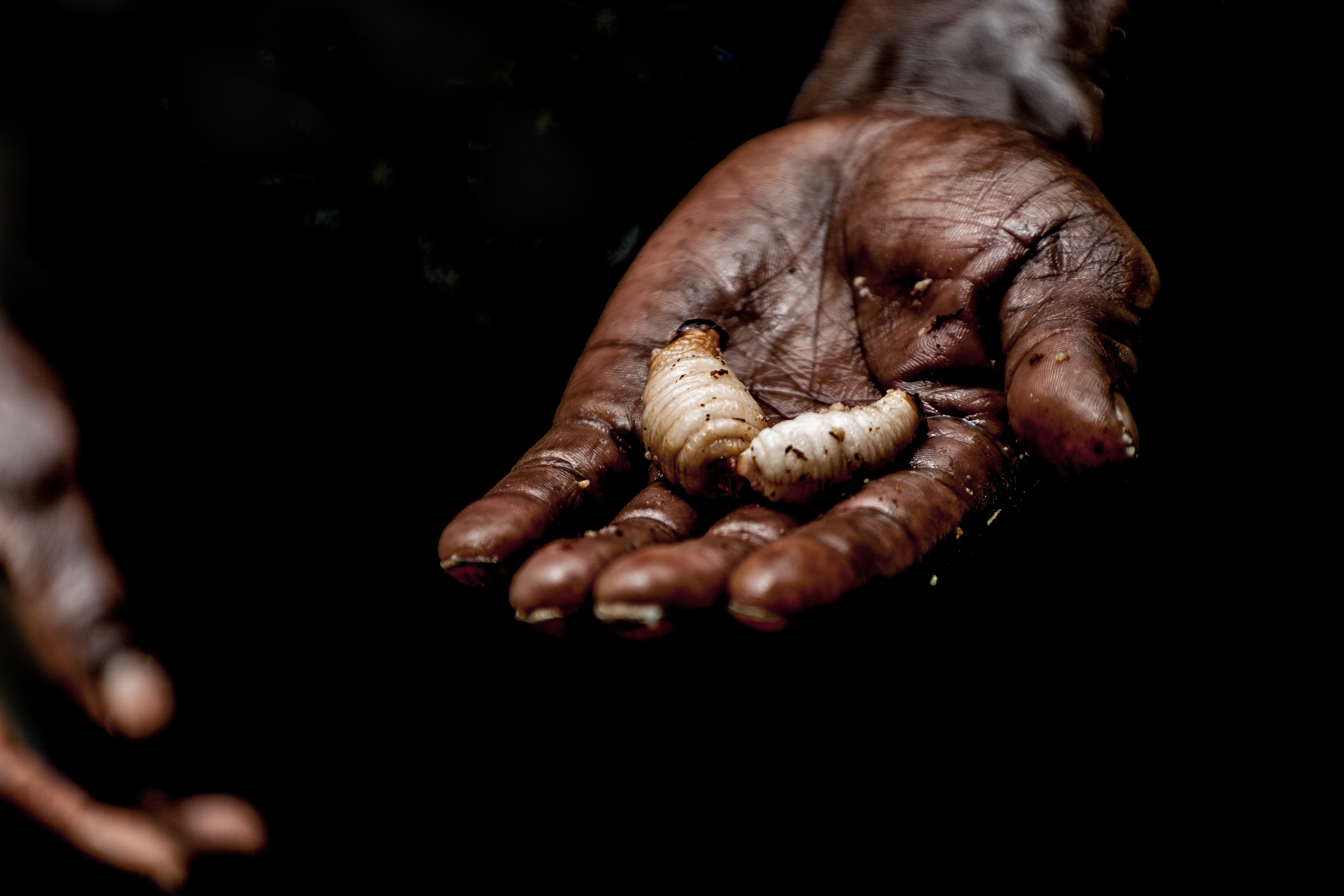  WEST PAPUA, INDONESIA 