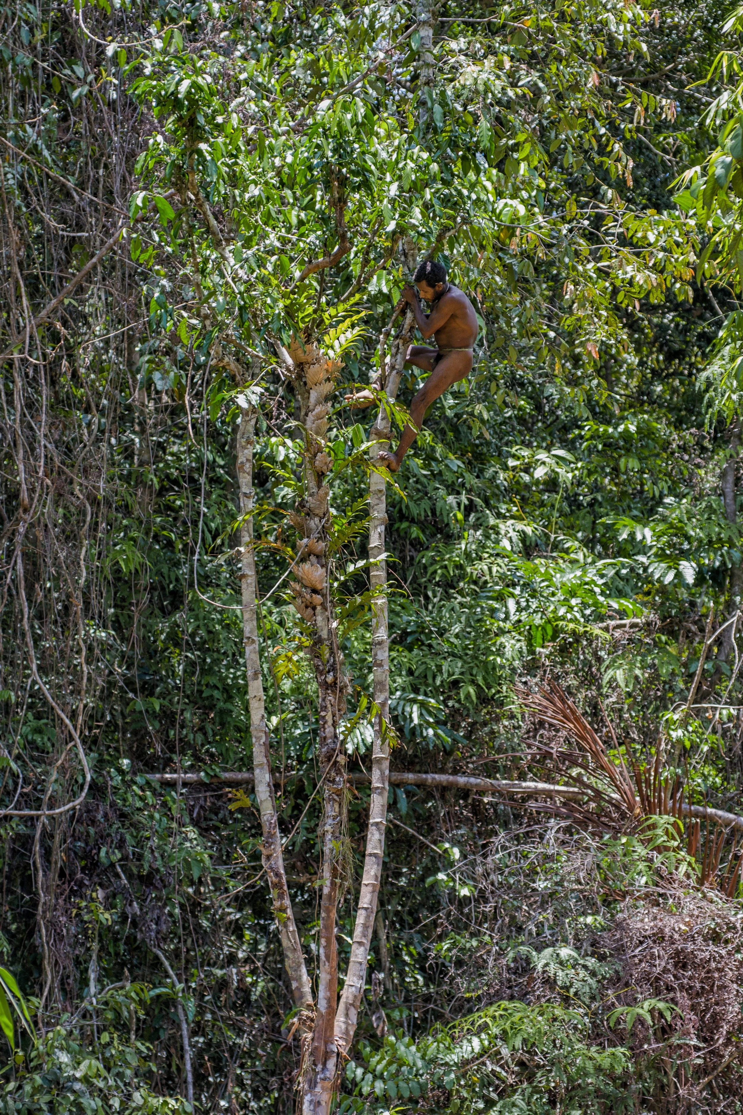 WEST PAPUA, INDONESIA