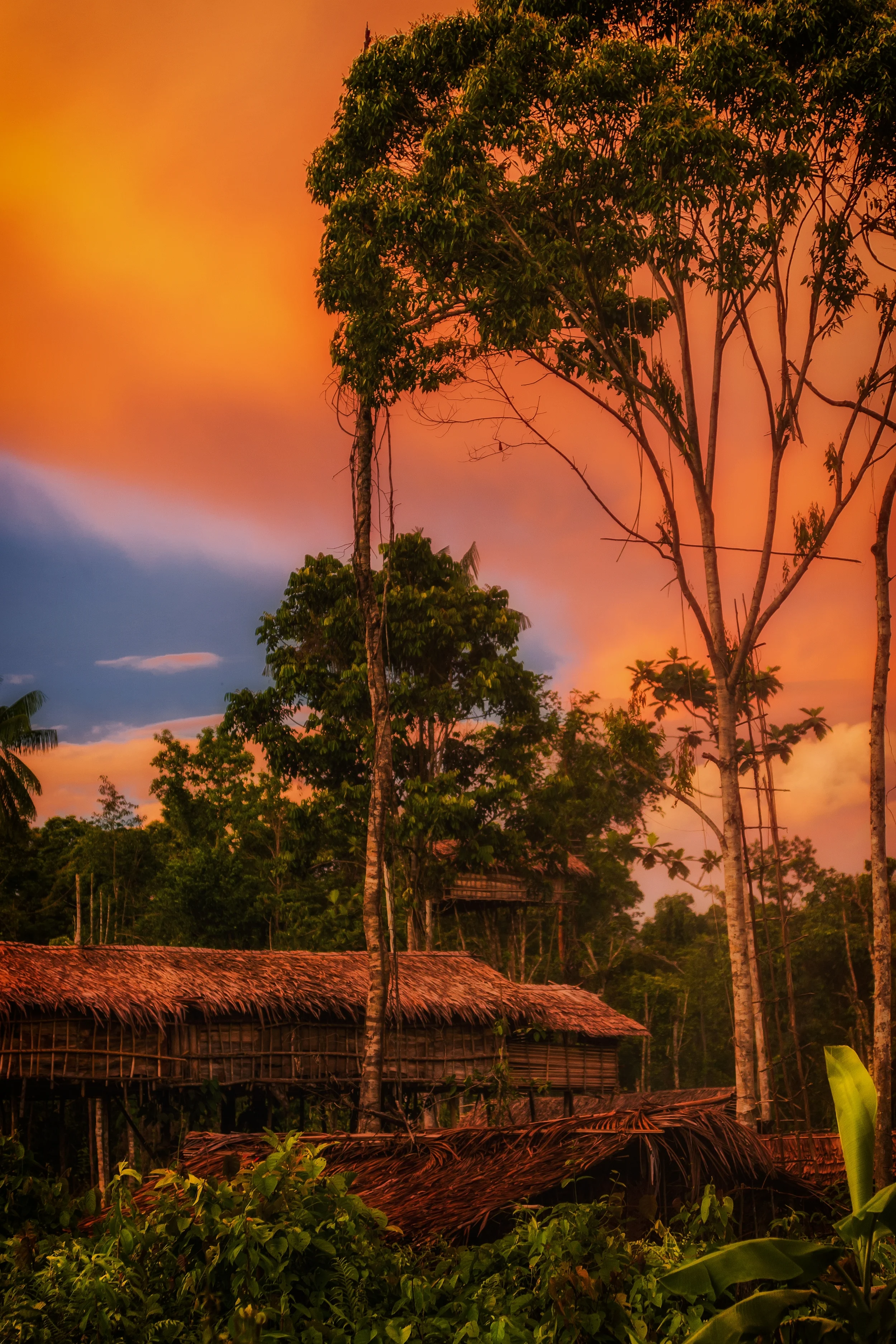 WEST PAPUA, INDONESIA