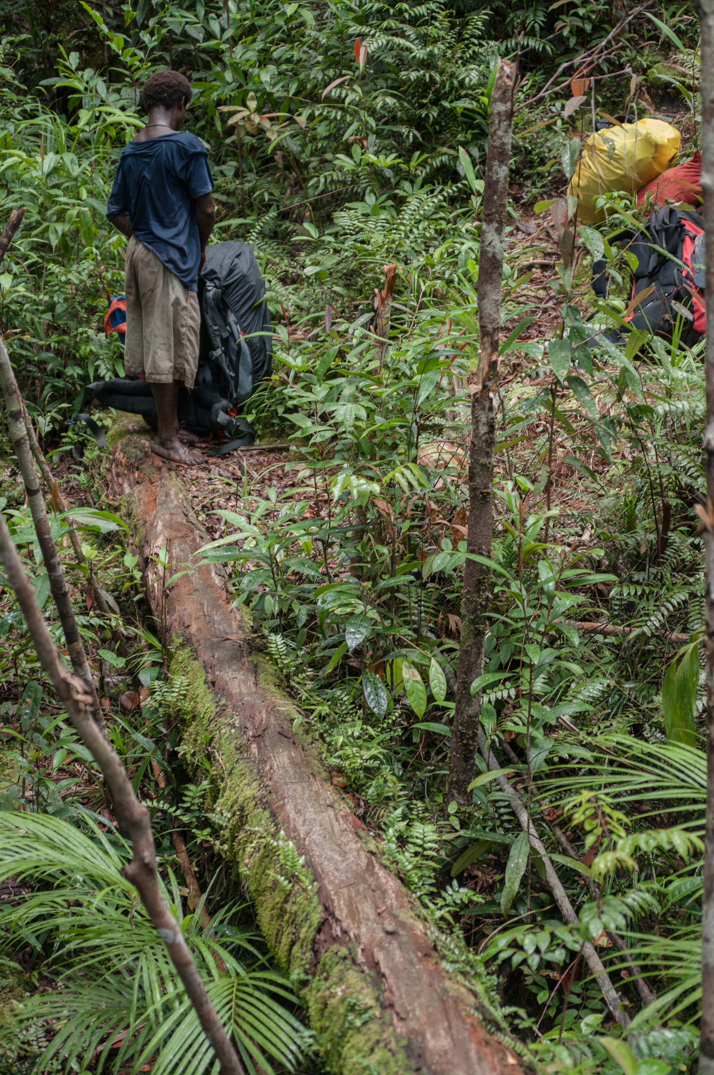  WEST PAPUA, INDONESIA 