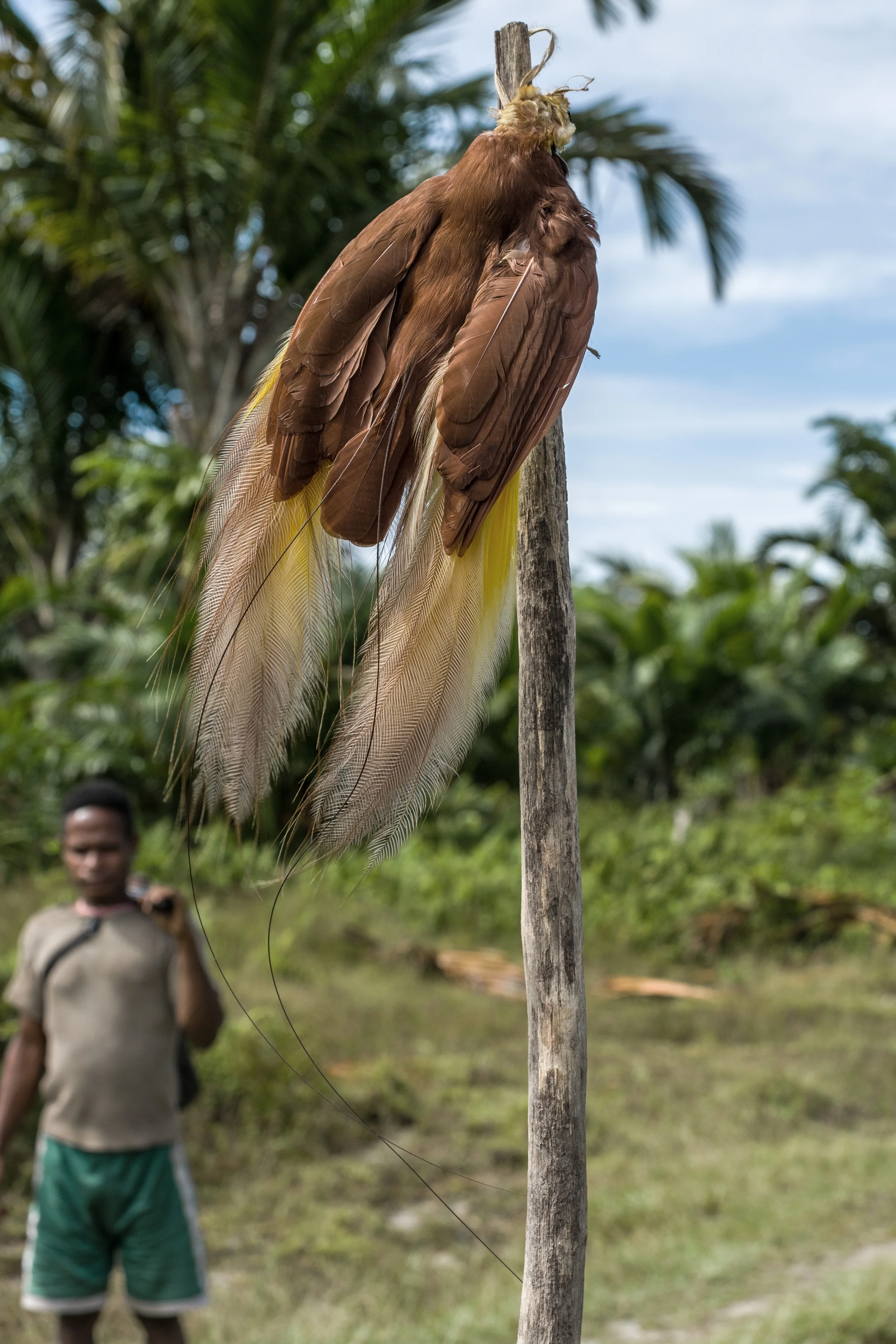 WEST PAPUA, INDONESIA