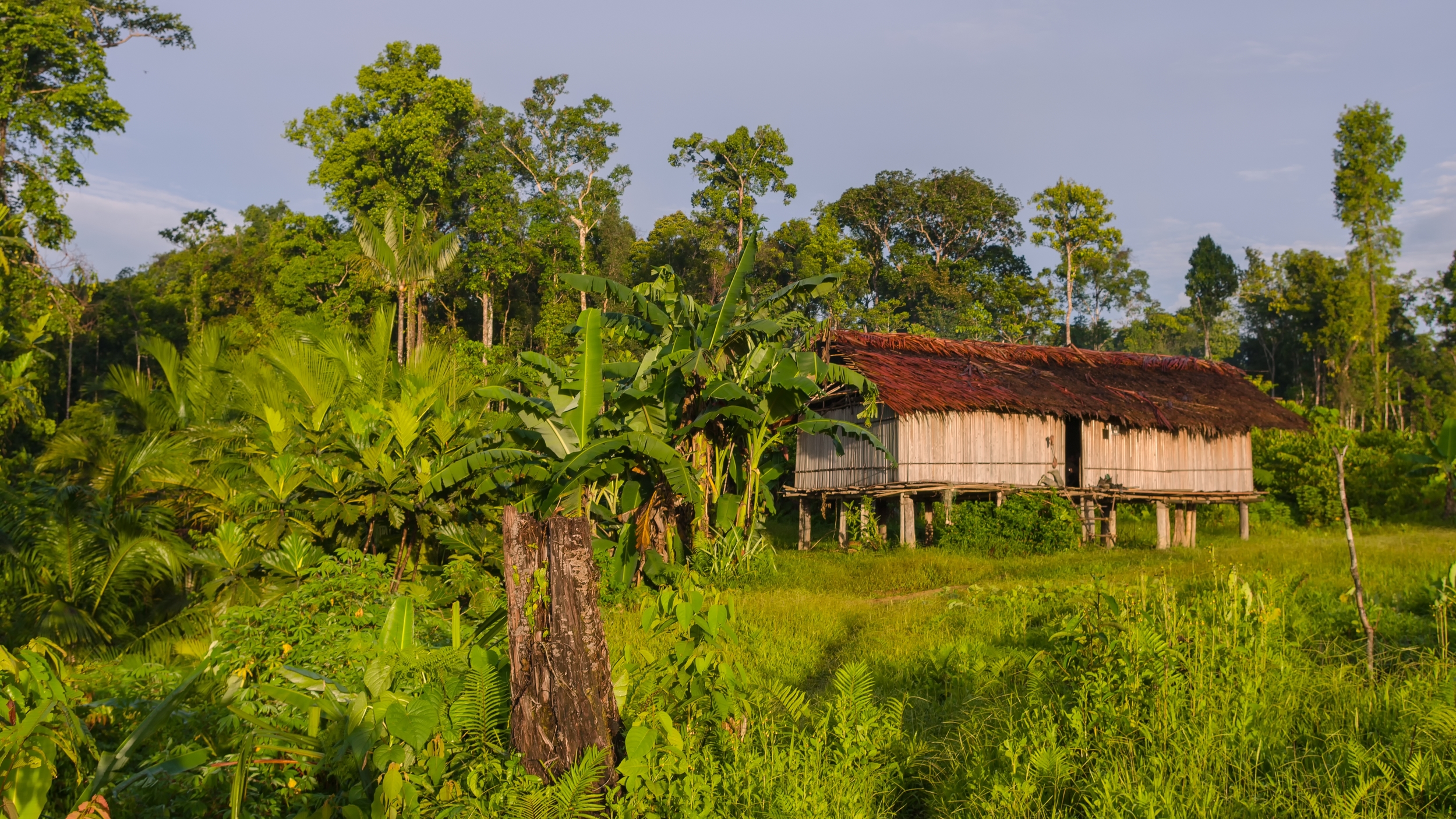  WEST PAPUA, INDONESIA 