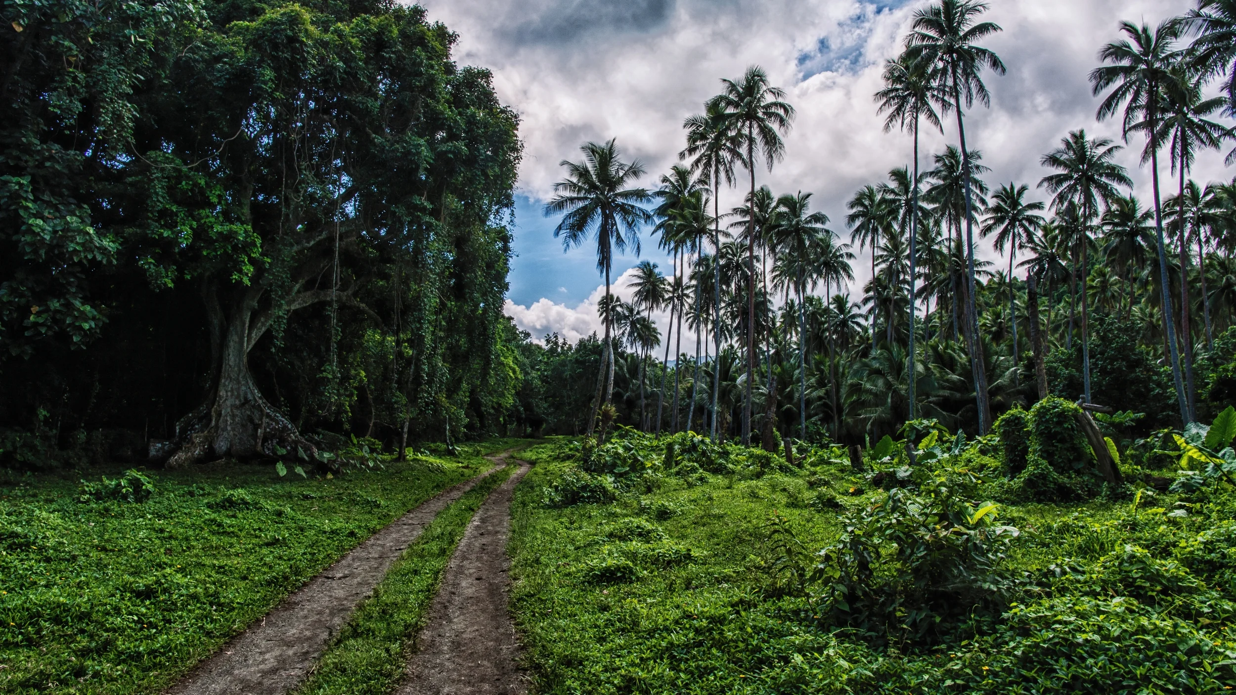PENTECOST ISLAND, VANUATU