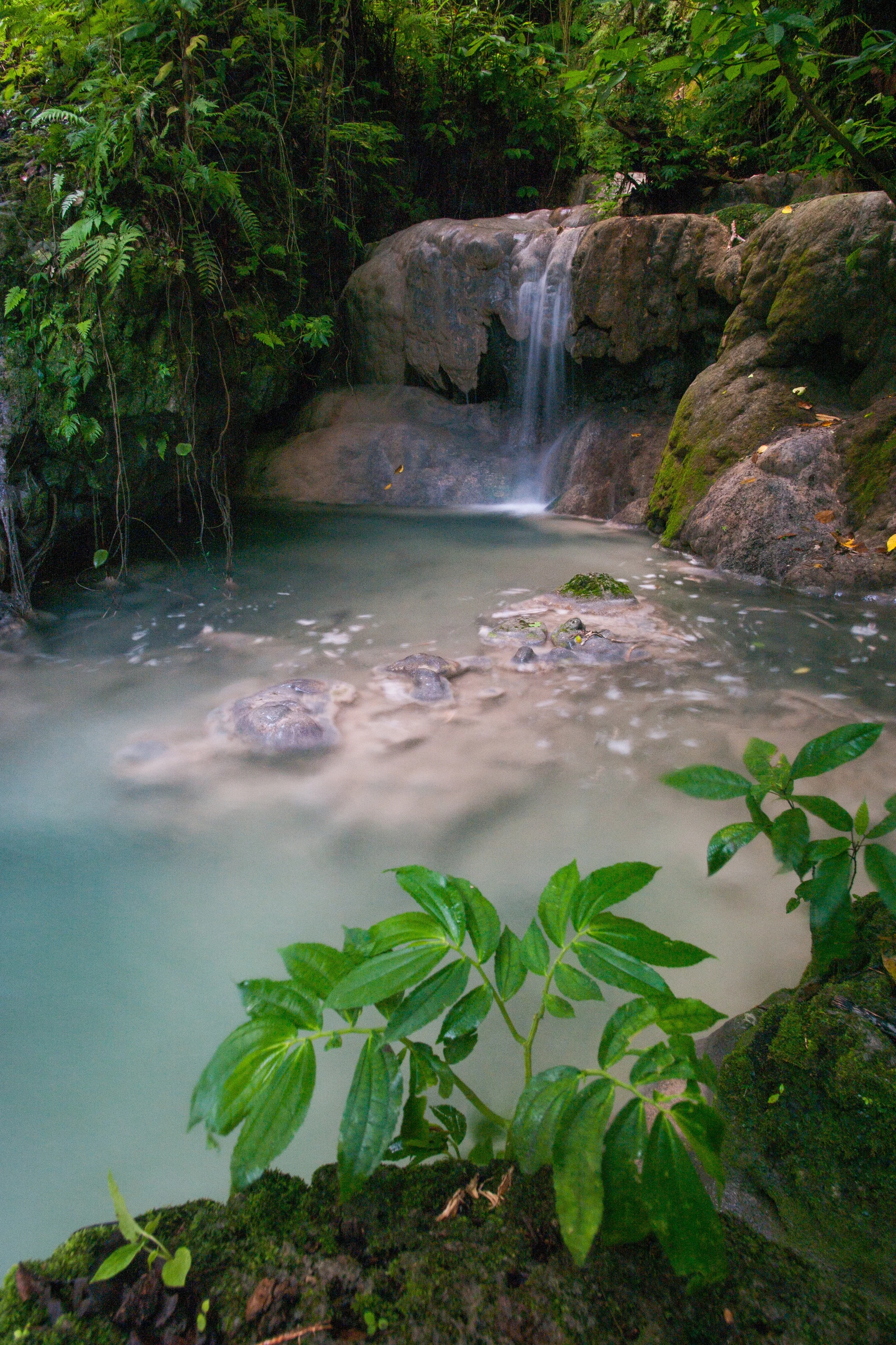 EFATE ISLAND, VANUATU
