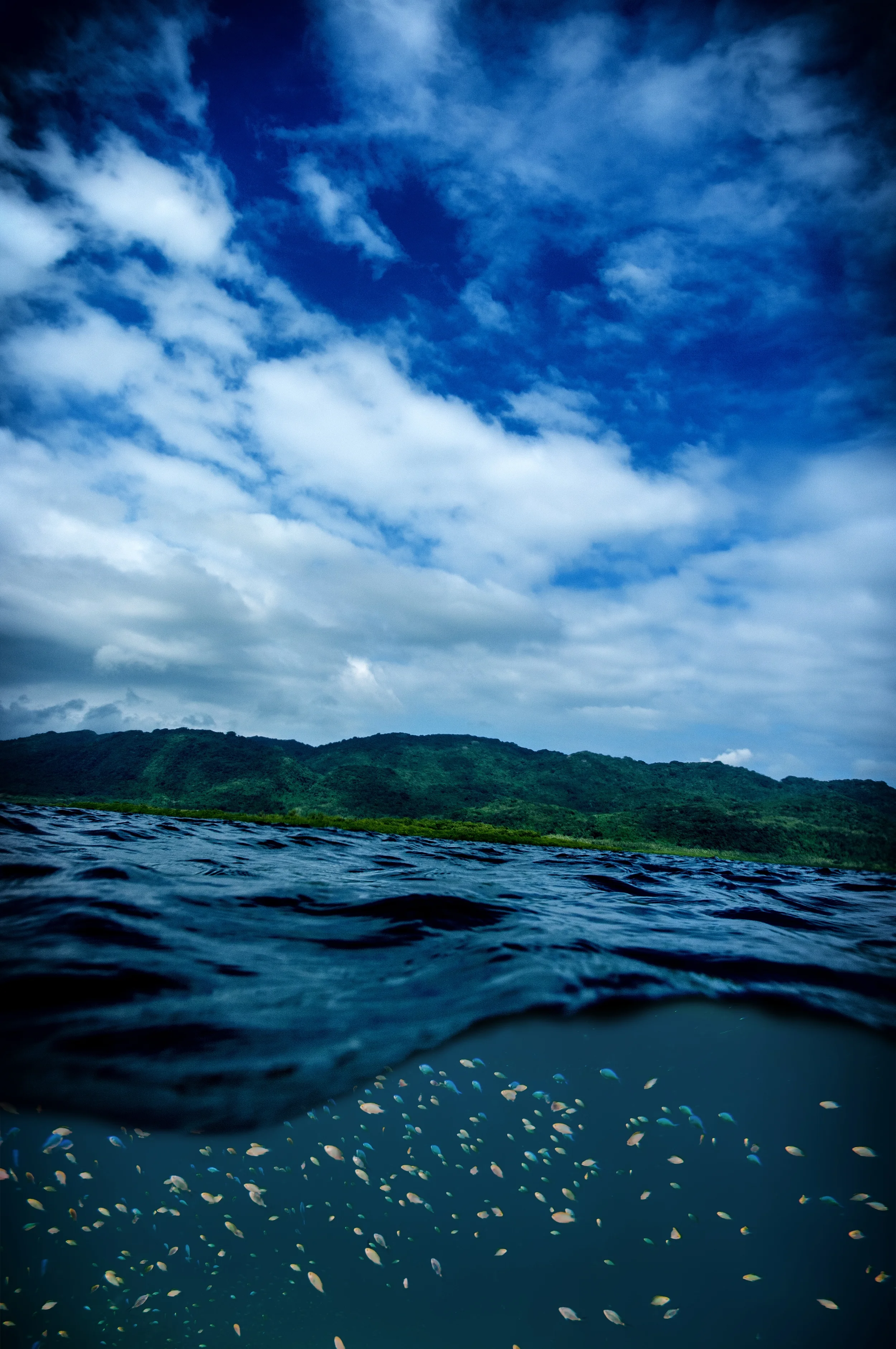 URIPIV ISLAND, VANUATU