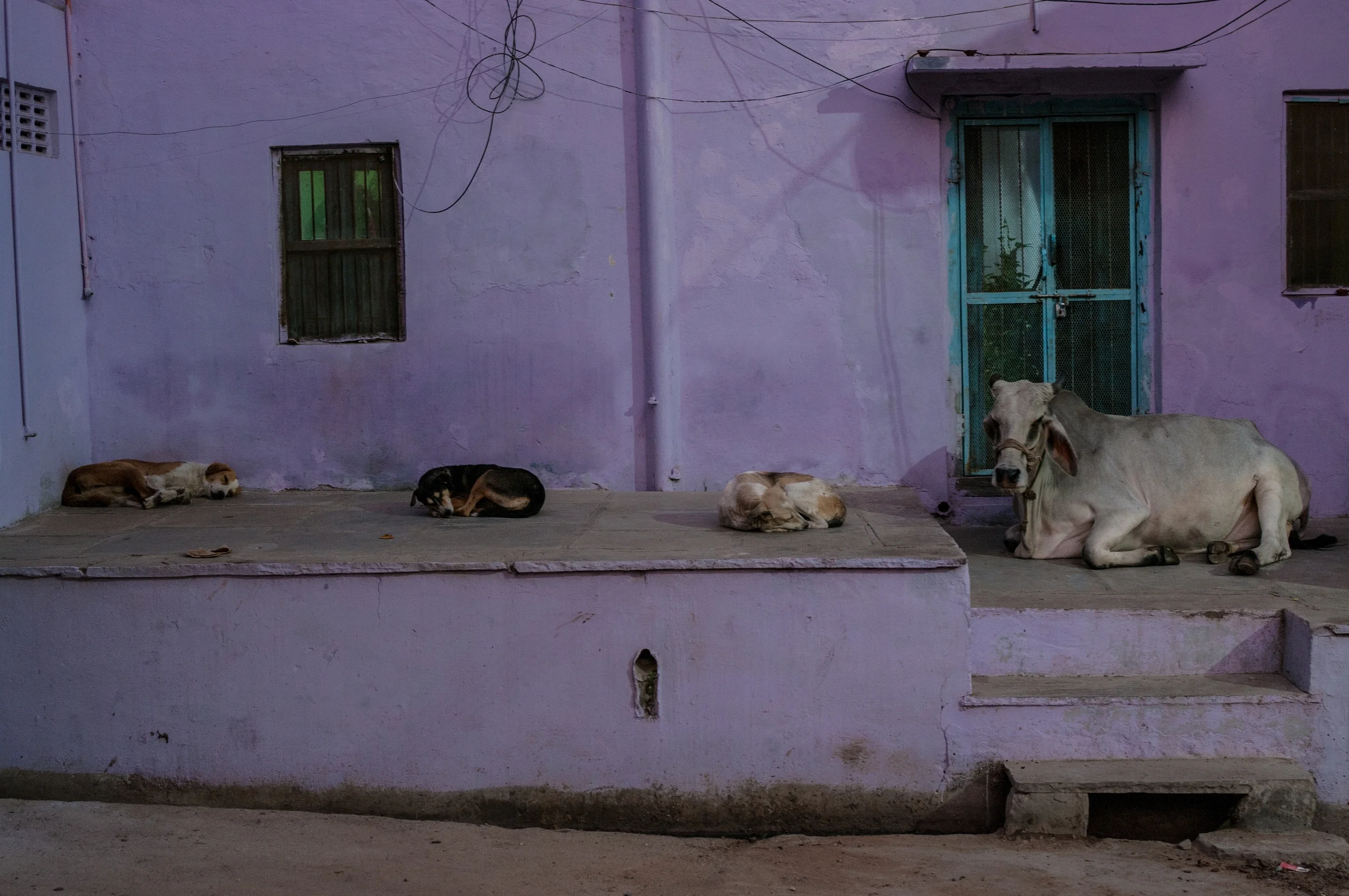 PUSHKAR, INDIA