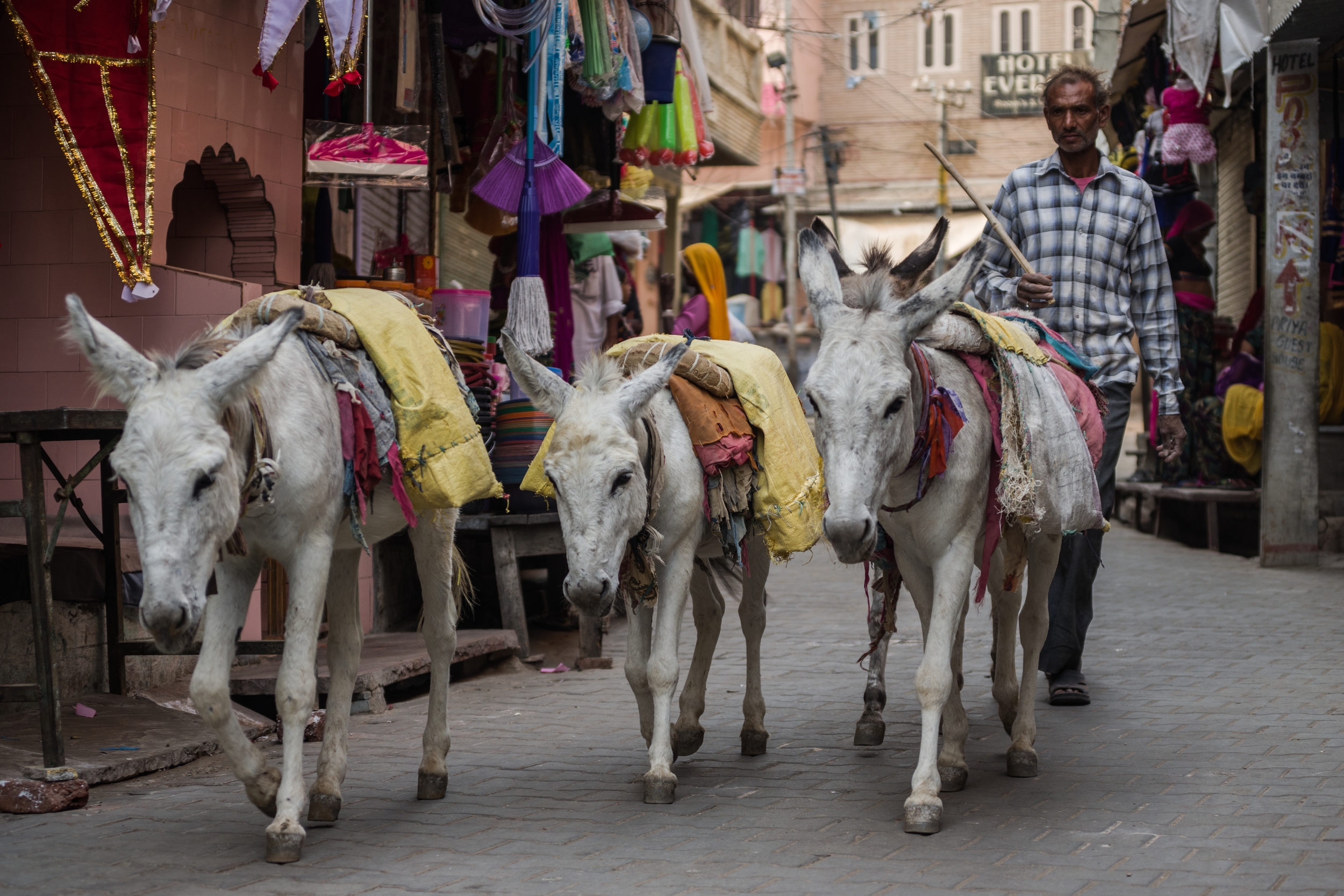  PUSHKAR, INDIA 