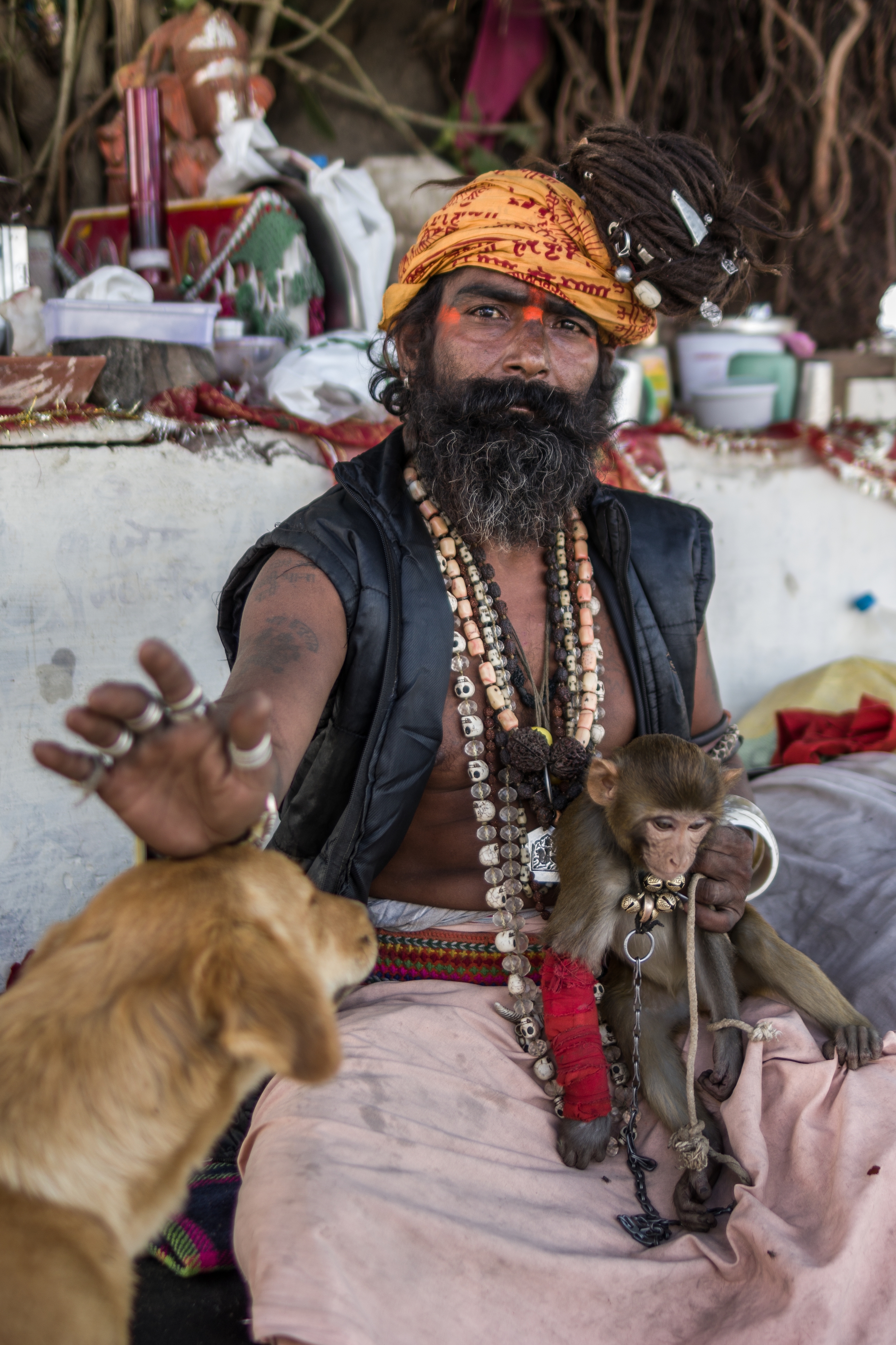  PUSHKAR, INDIA 