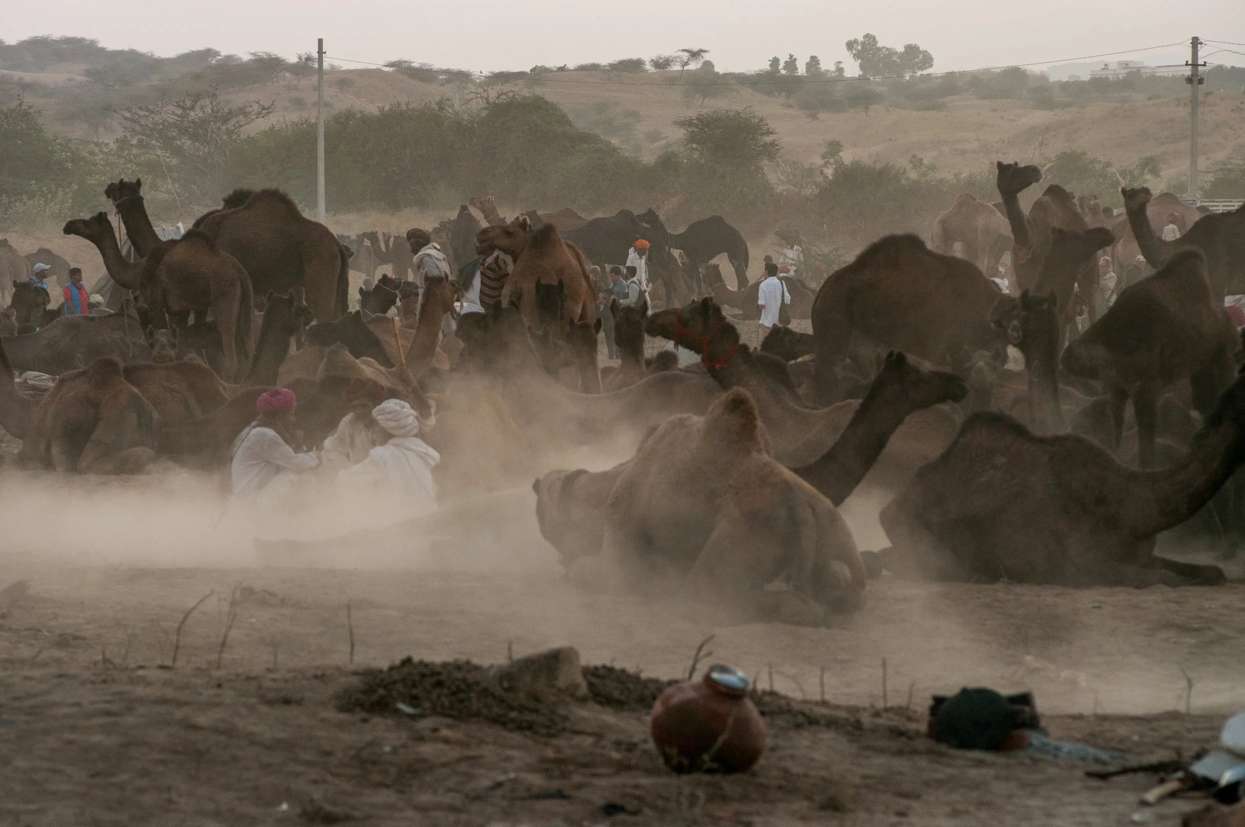 PUSHKAR, INDIA