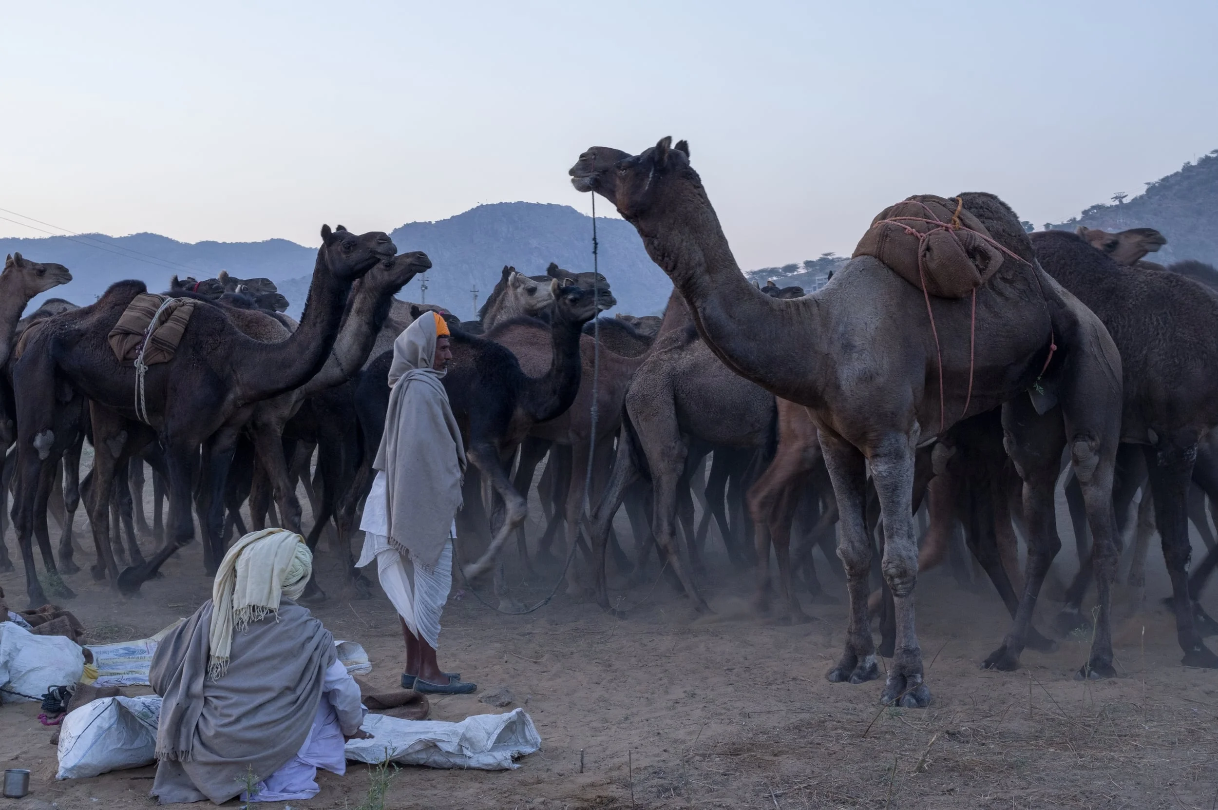 PUSHKAR, INDIA