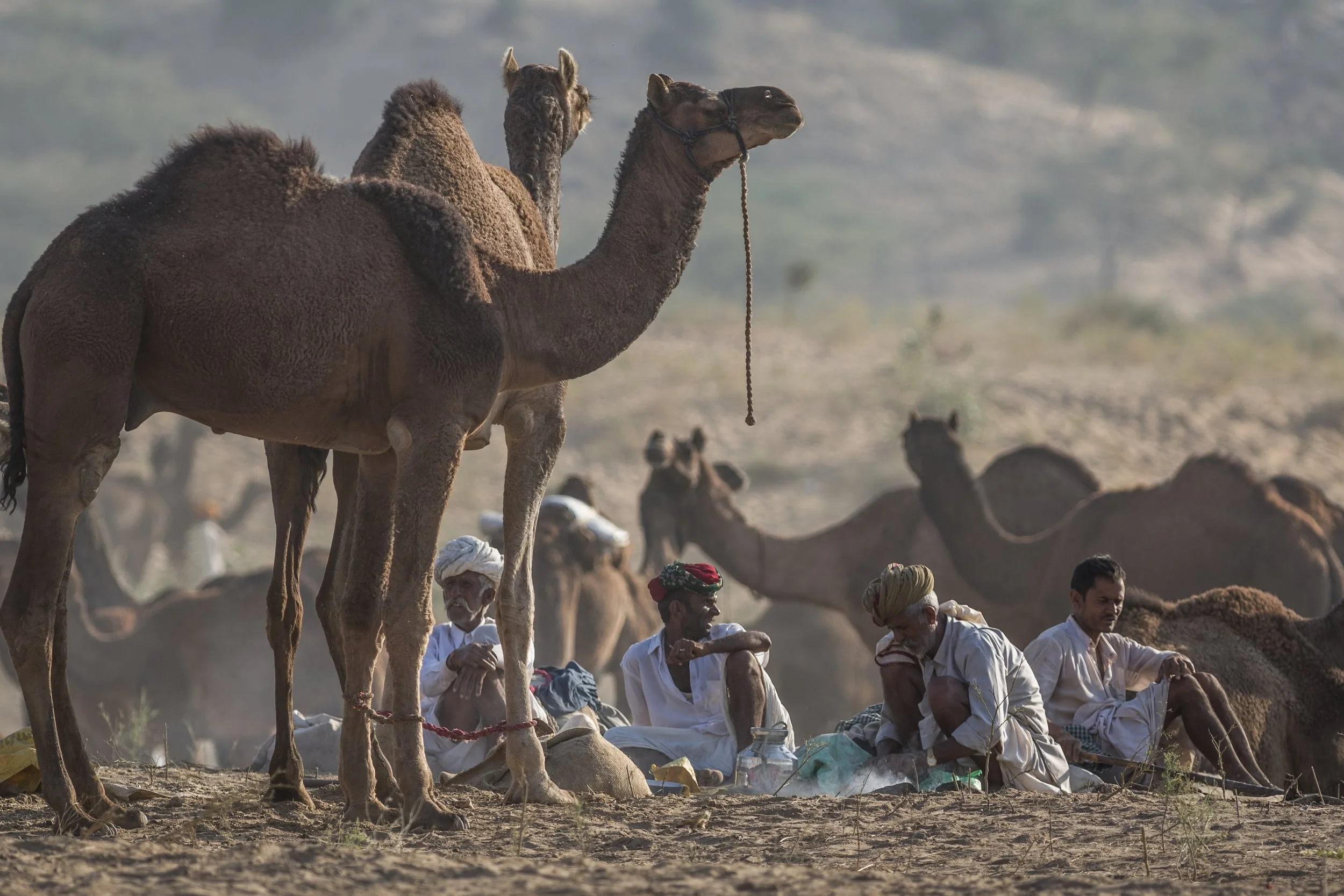 PUSHKAR, INDIA