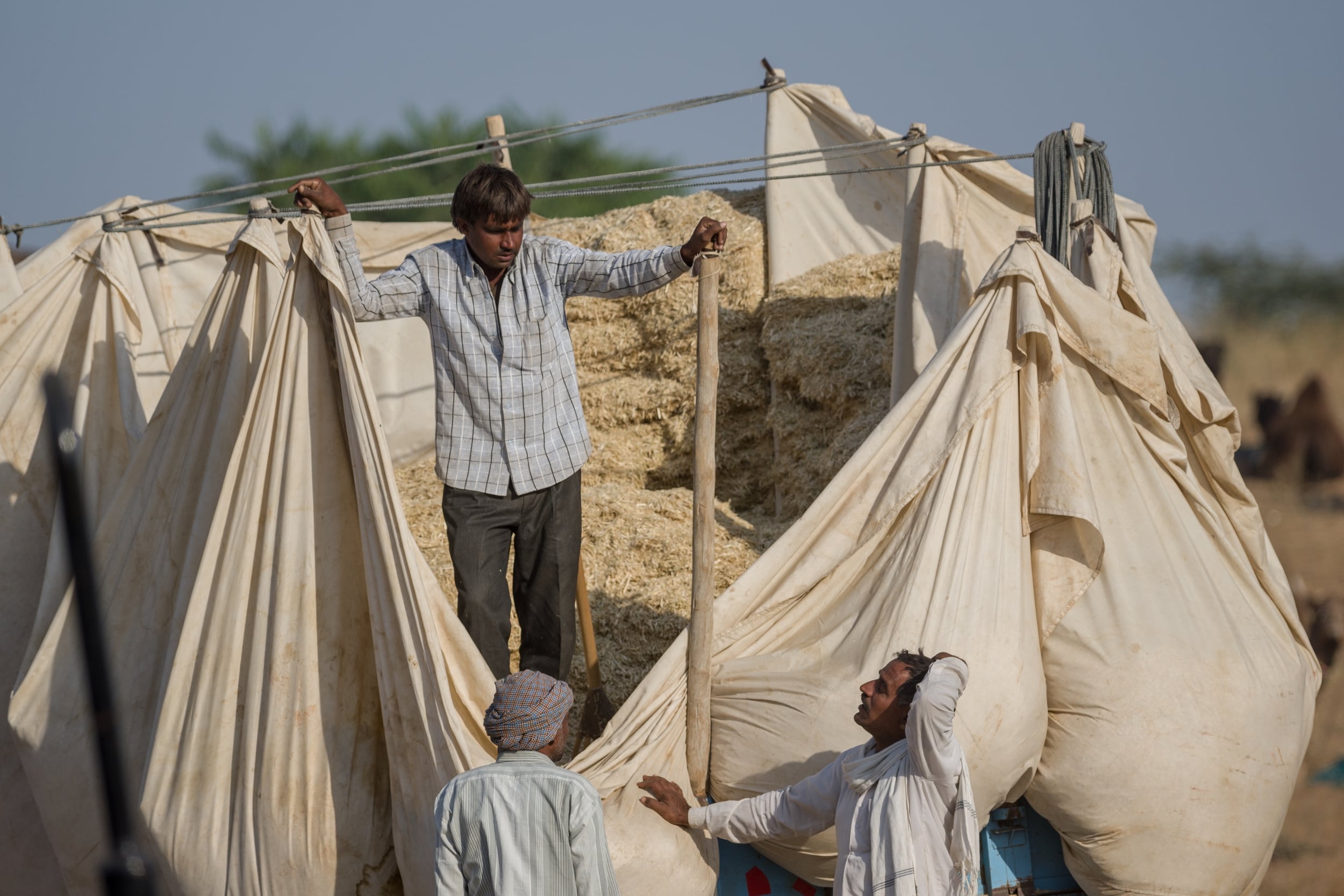  PUSHKAR, INDIA 