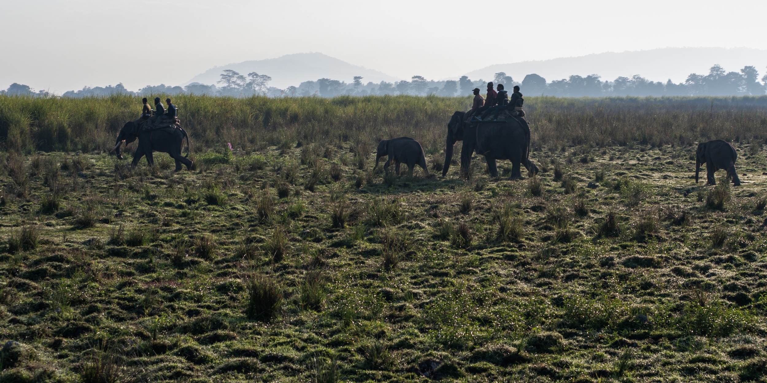  NP KAZIRANGA, INDIA 