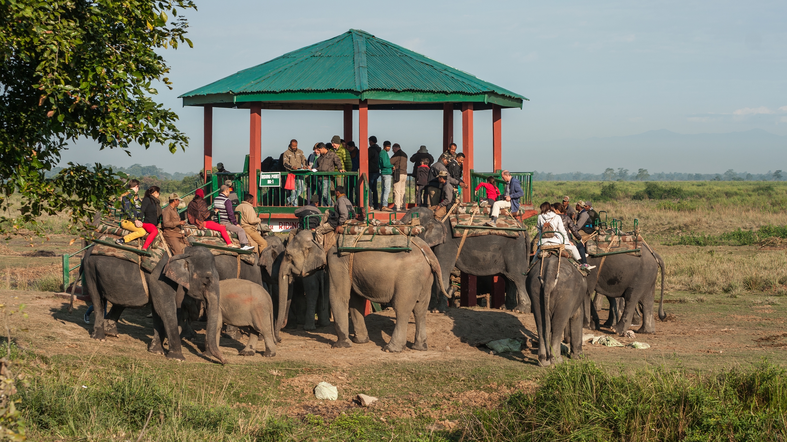  NP KAZIRANGA, INDIA 