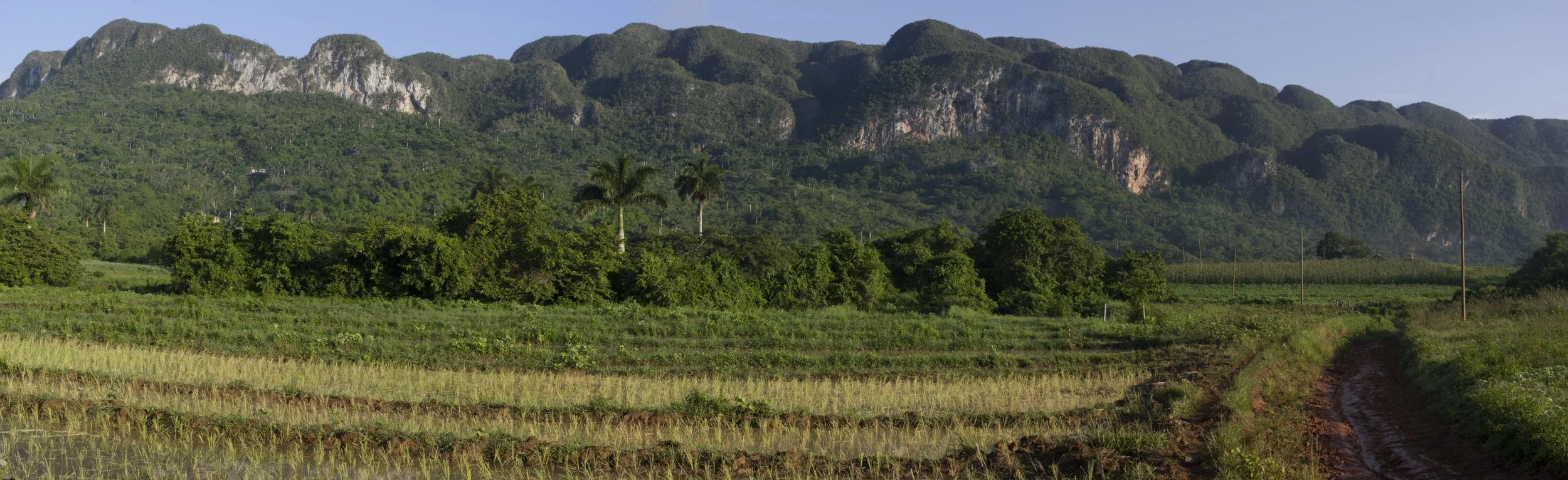 LOS AQUATICOS, CUBA