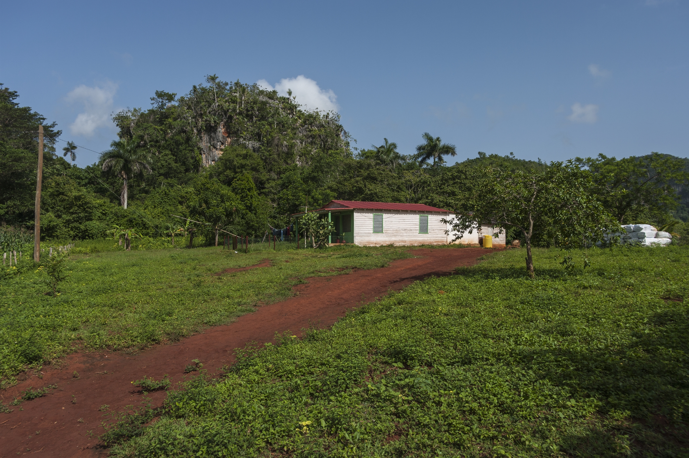  VALLE DE VIÑALES, CUBA 