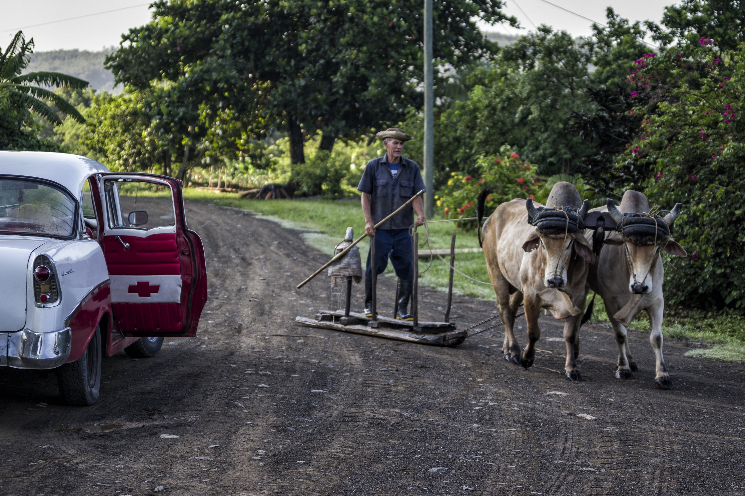  VALLE DE VIÑALES, CUBA 