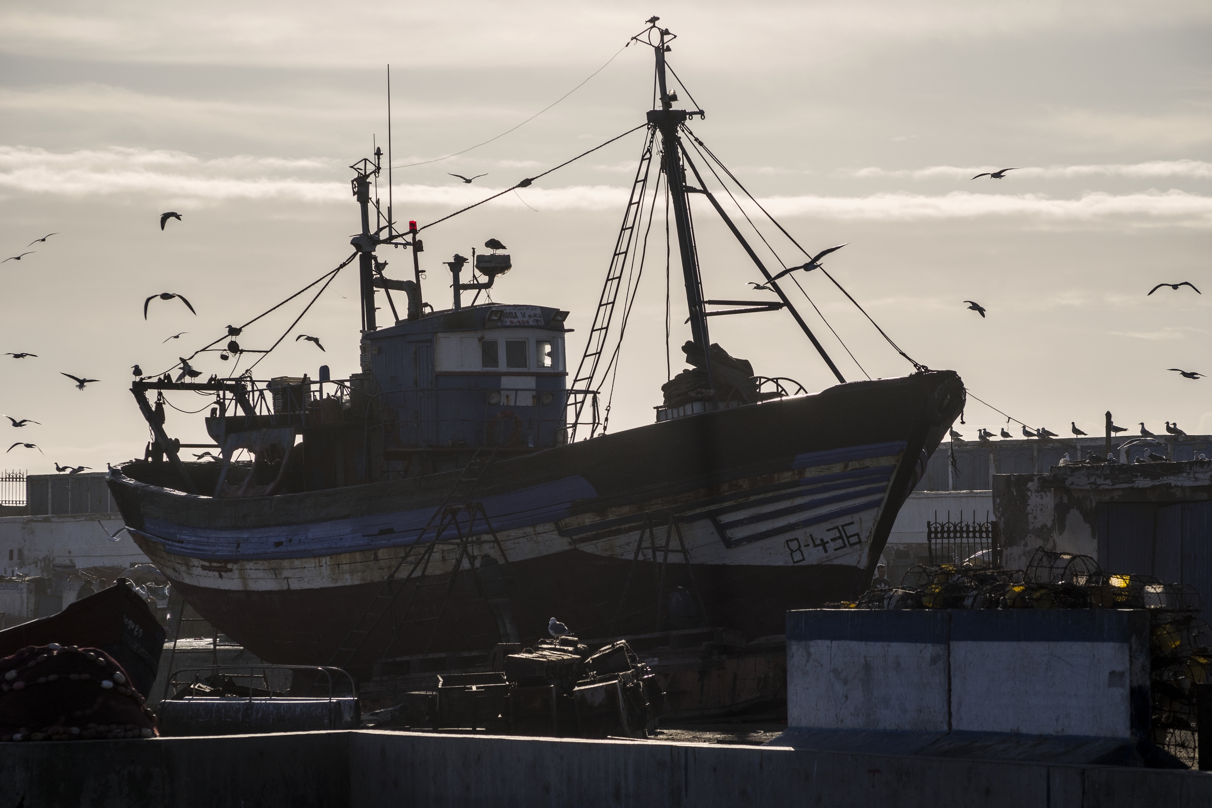  ESSAOUIRA, MOROCCO 