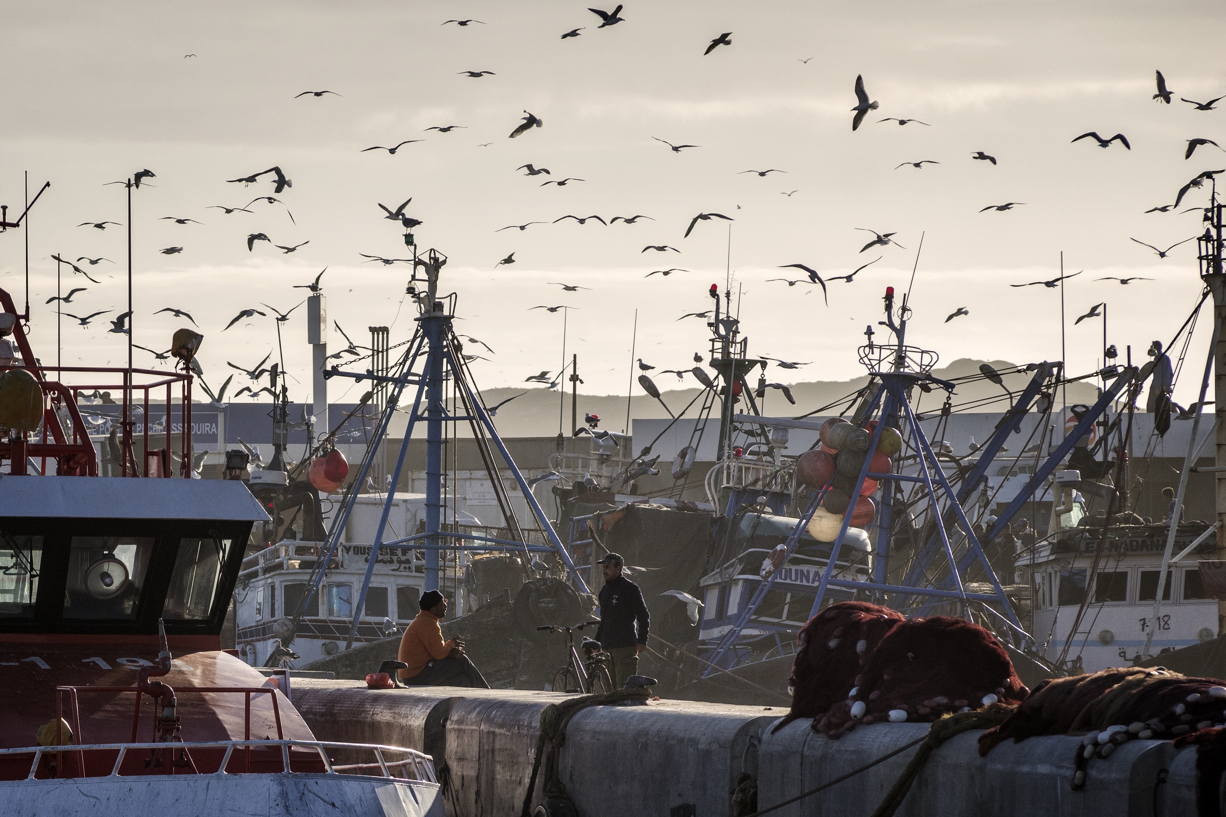  ESSAOUIRA, MOROCCO 