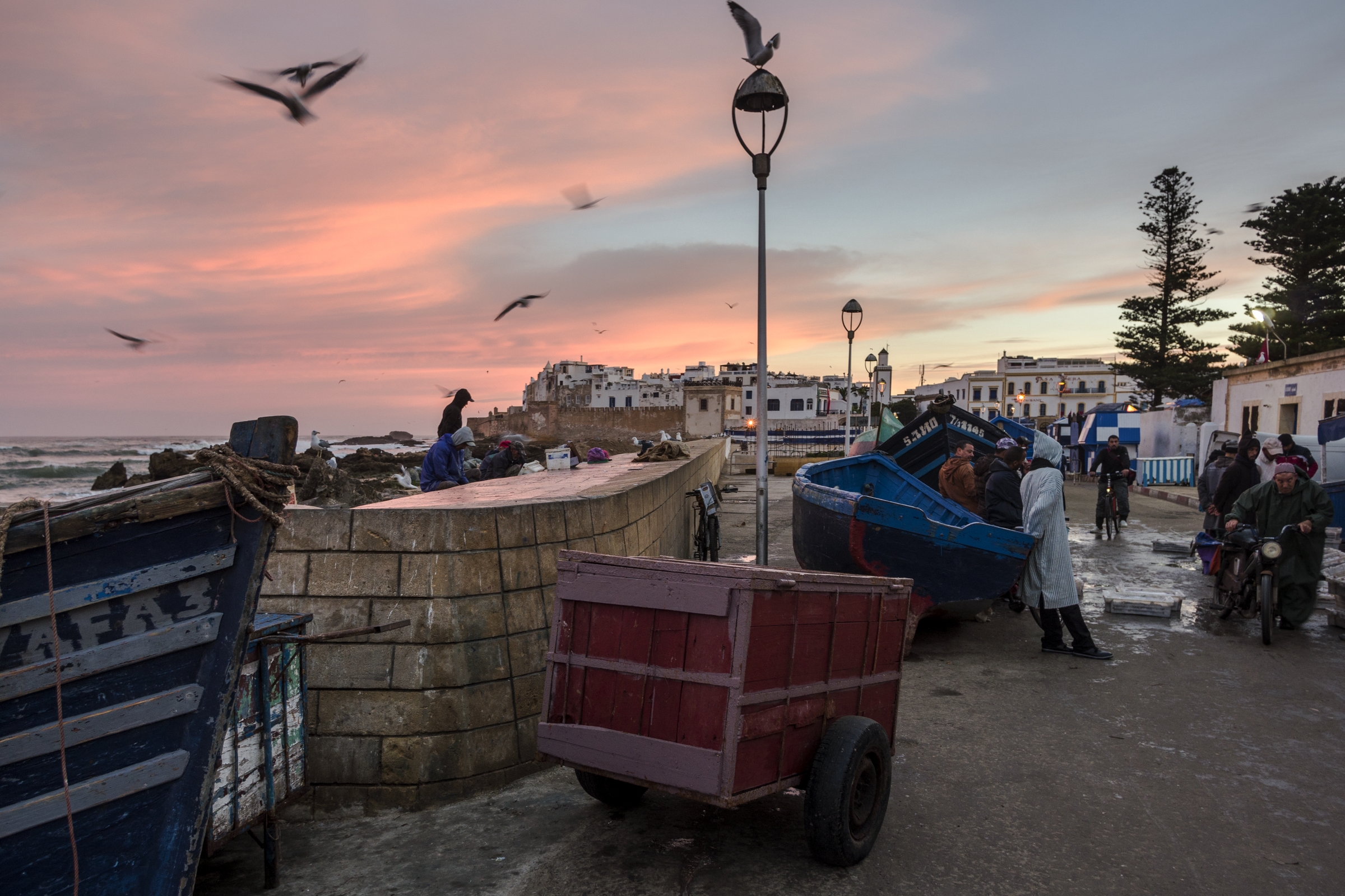  ESSAOUIRA, MOROCCO 