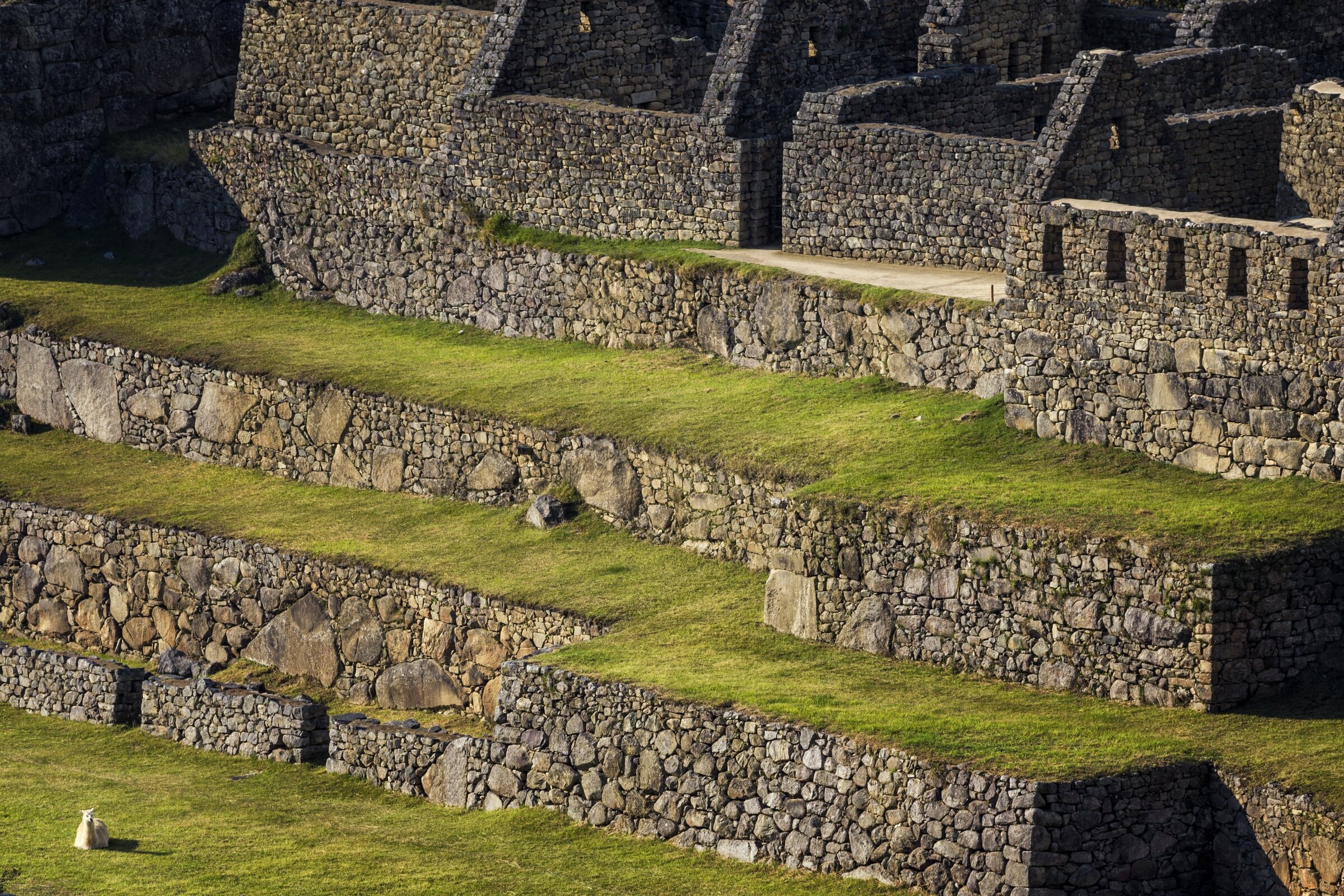  MACHU PICCHU, PERU 