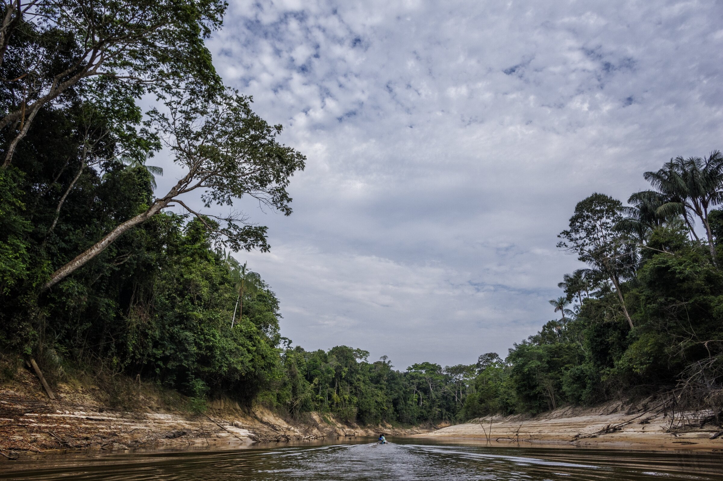  AMAZONIA, PERU 