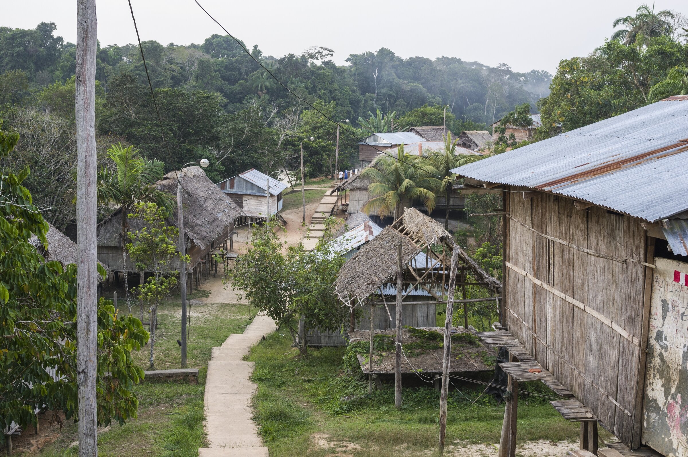  AMAZONIA, PERU 