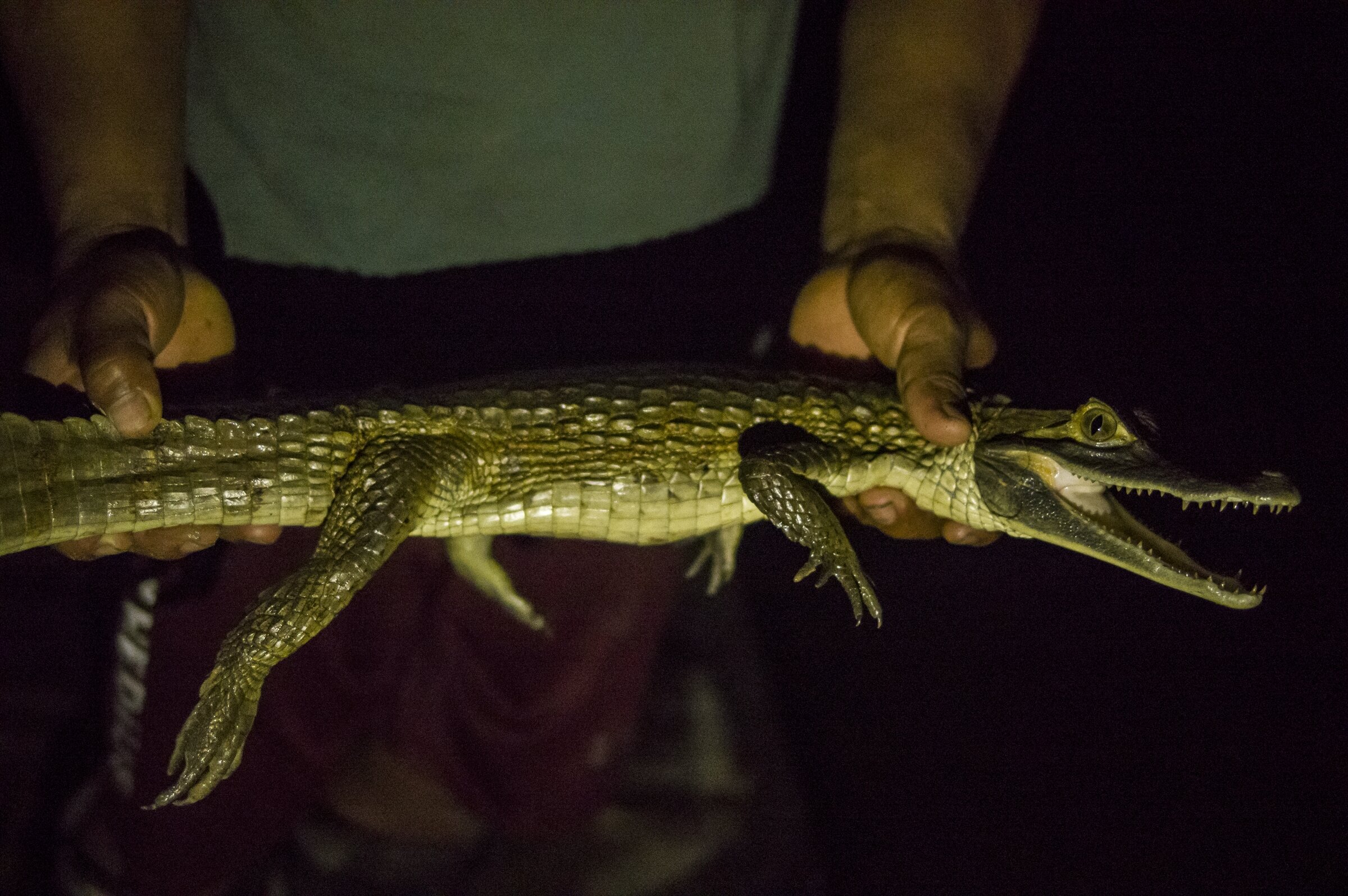  AMAZONIA, PERU 