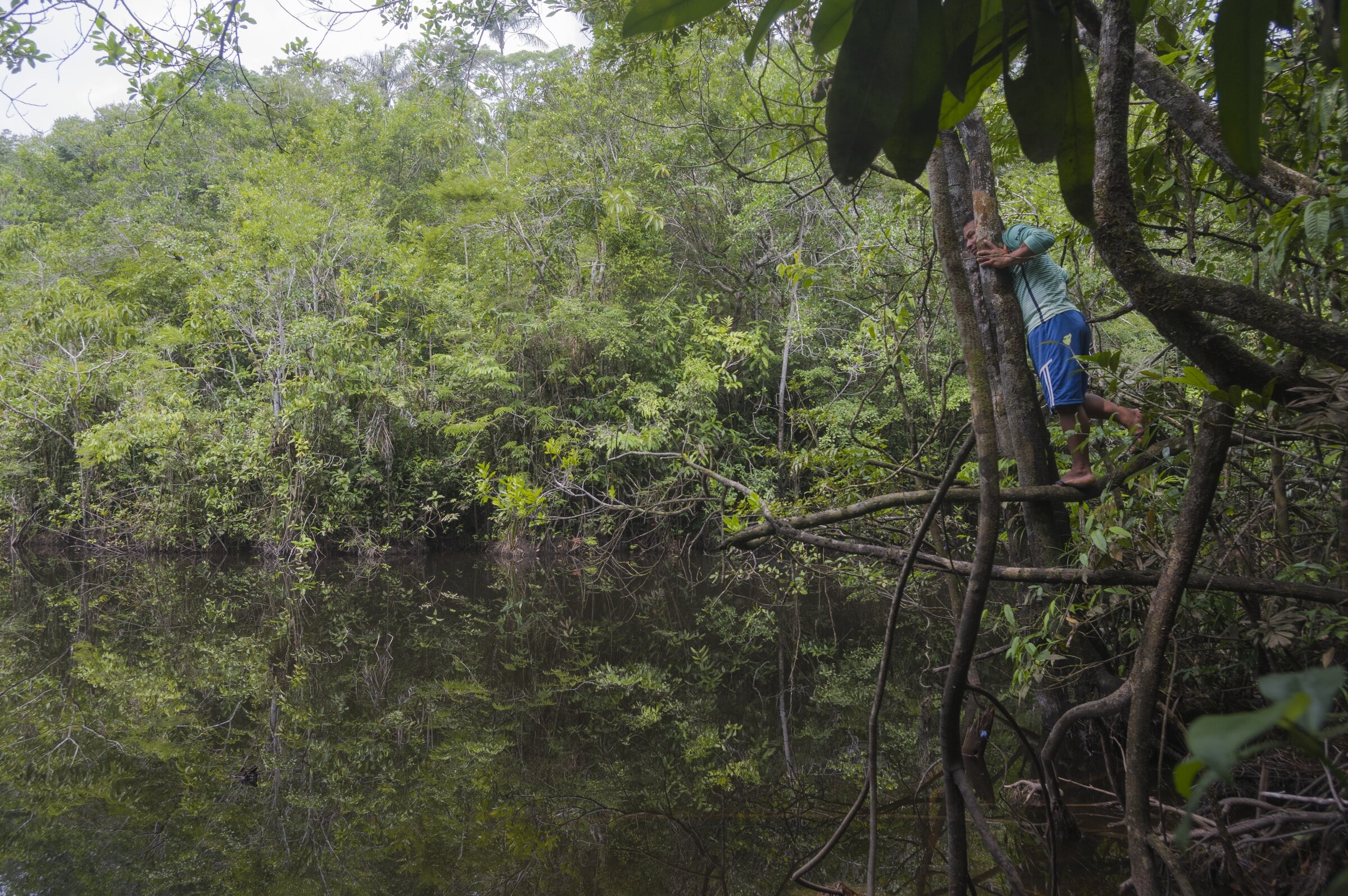  AMAZONIA, PERU 