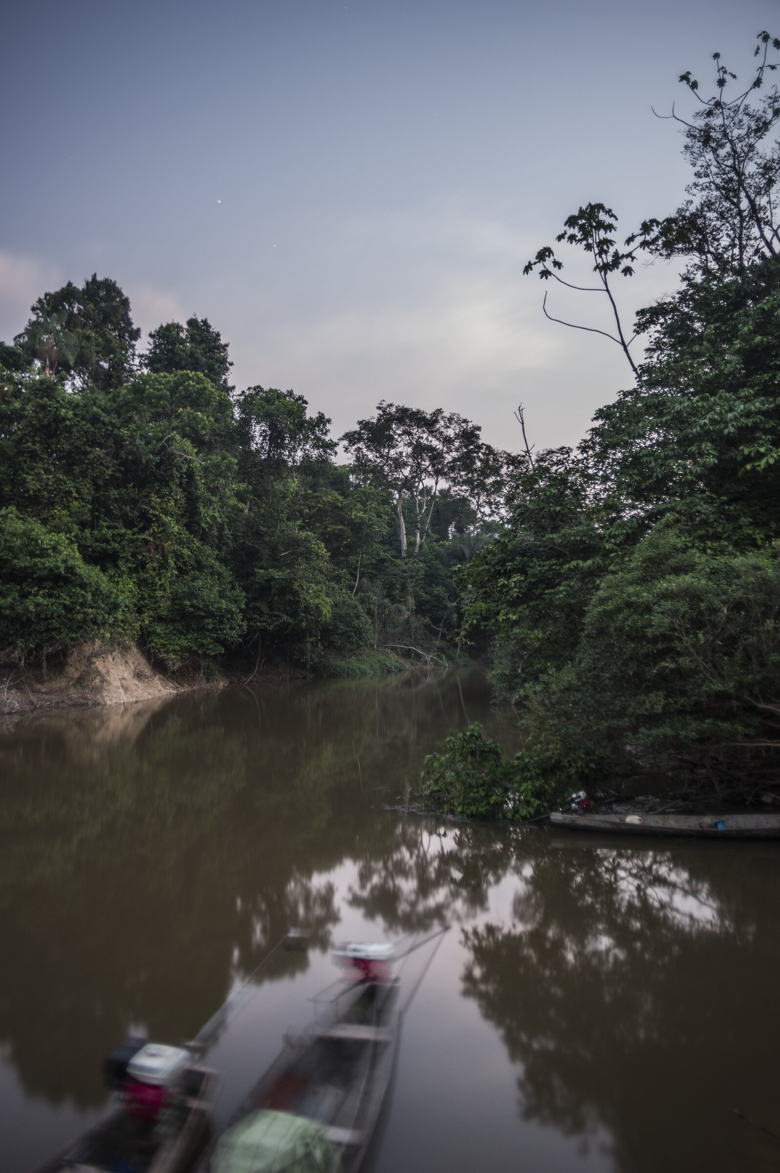  AMAZONIA, PERU 