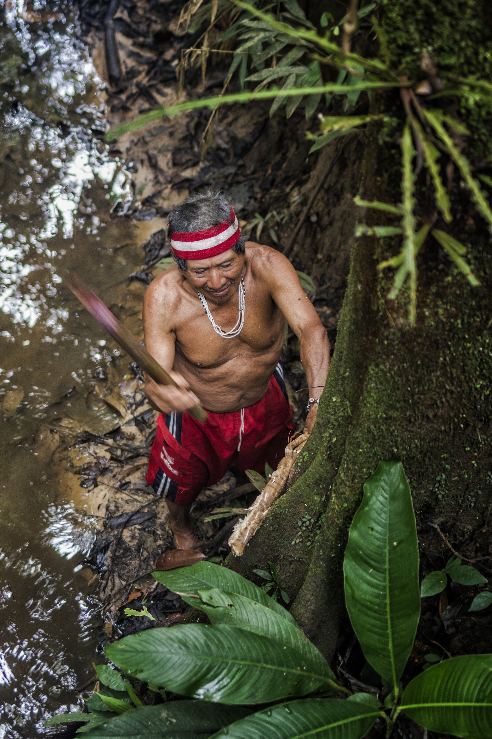 AMAZONIA, PERU 