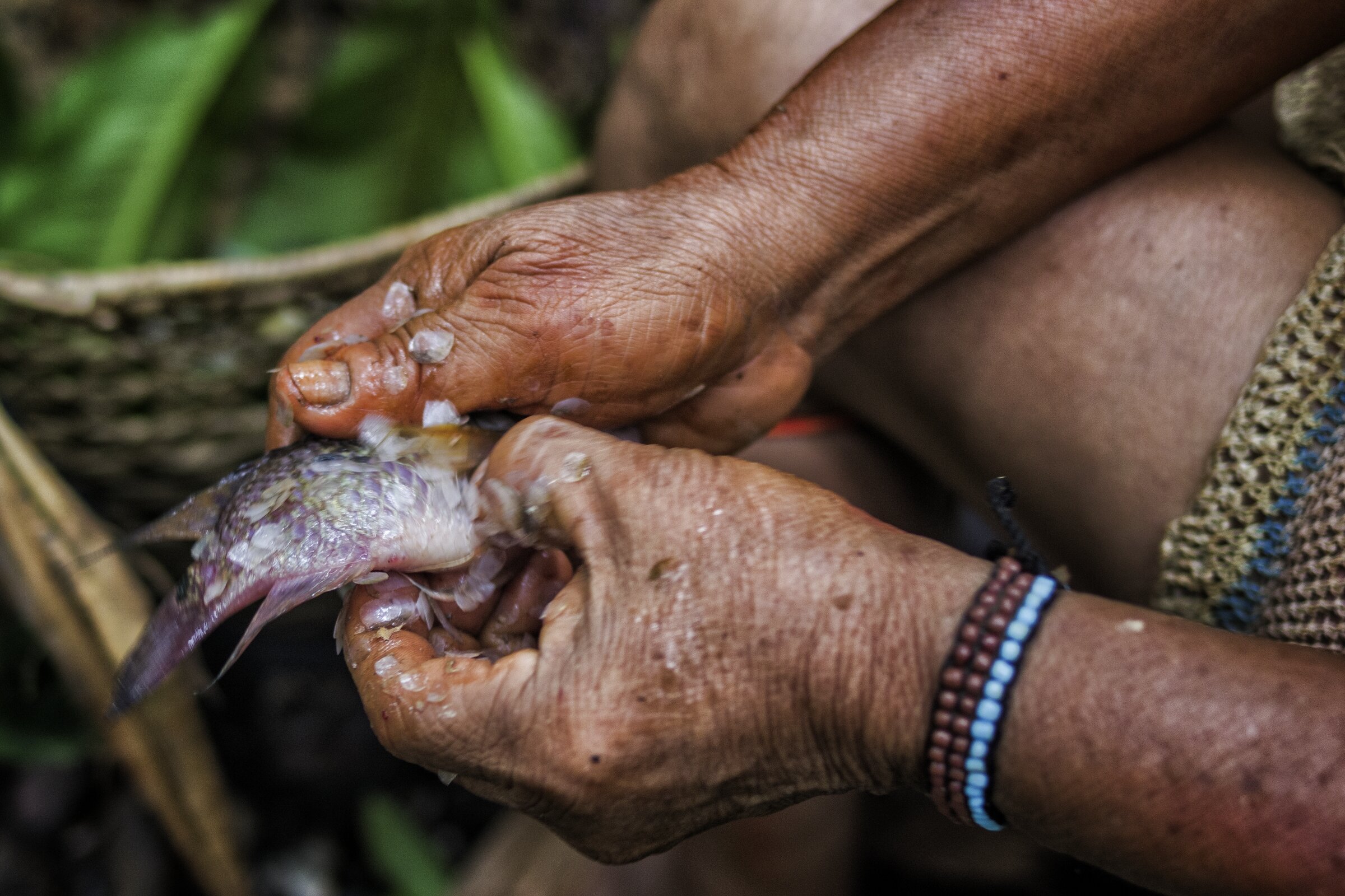  AMAZONIA, PERU 