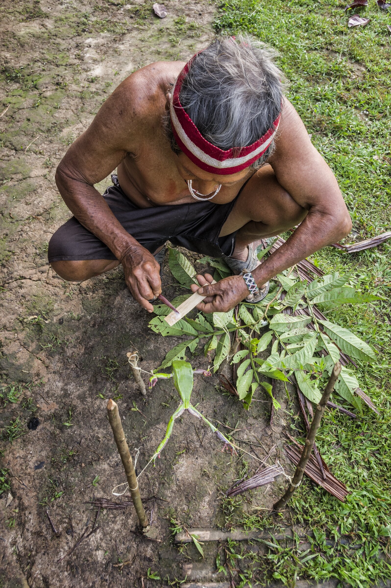  AMAZONIA, PERU 