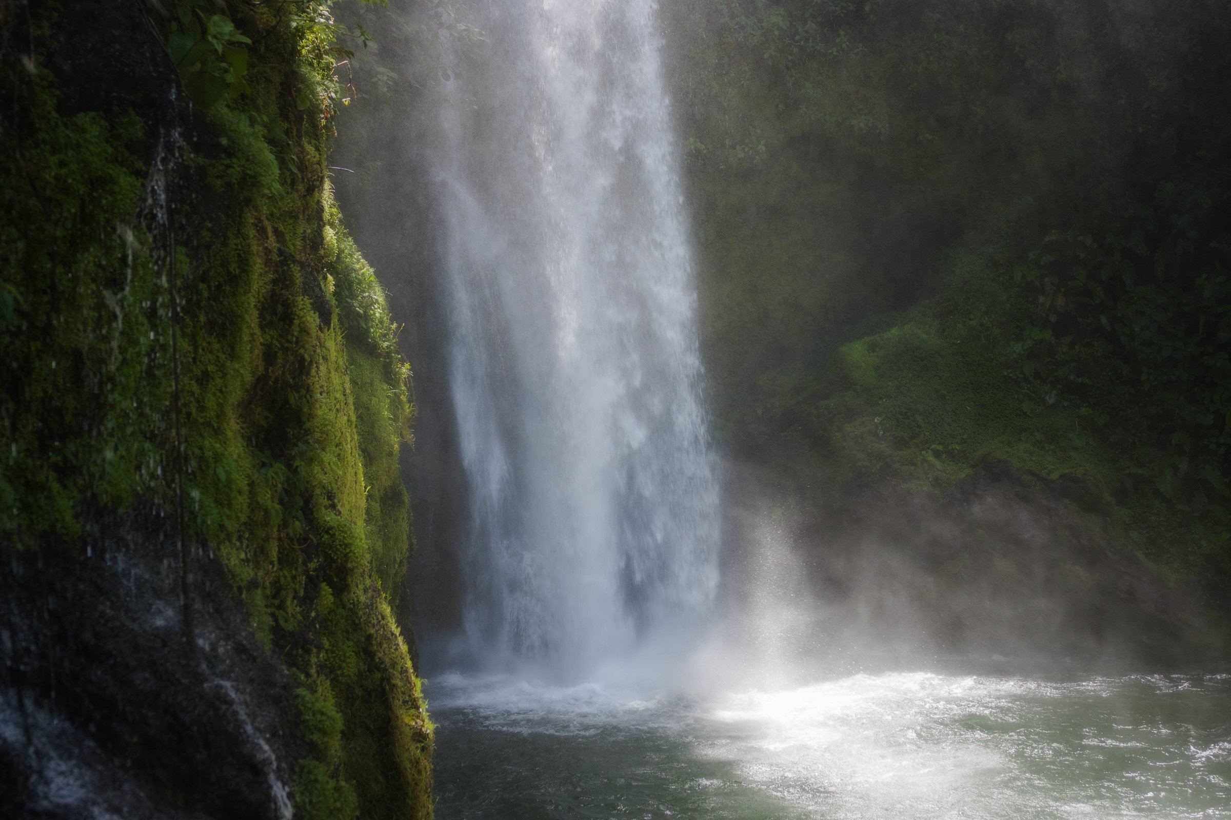  LA PAZ WATERFALL GARDENS, COSTA RICA 