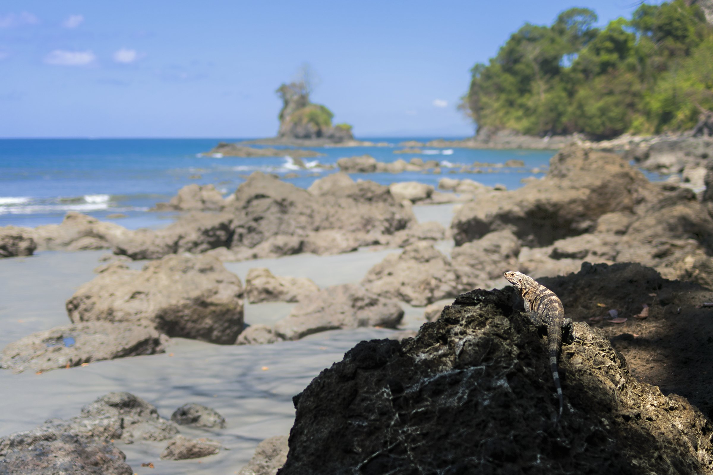  PLAYA MACHA, COSTA RICA 