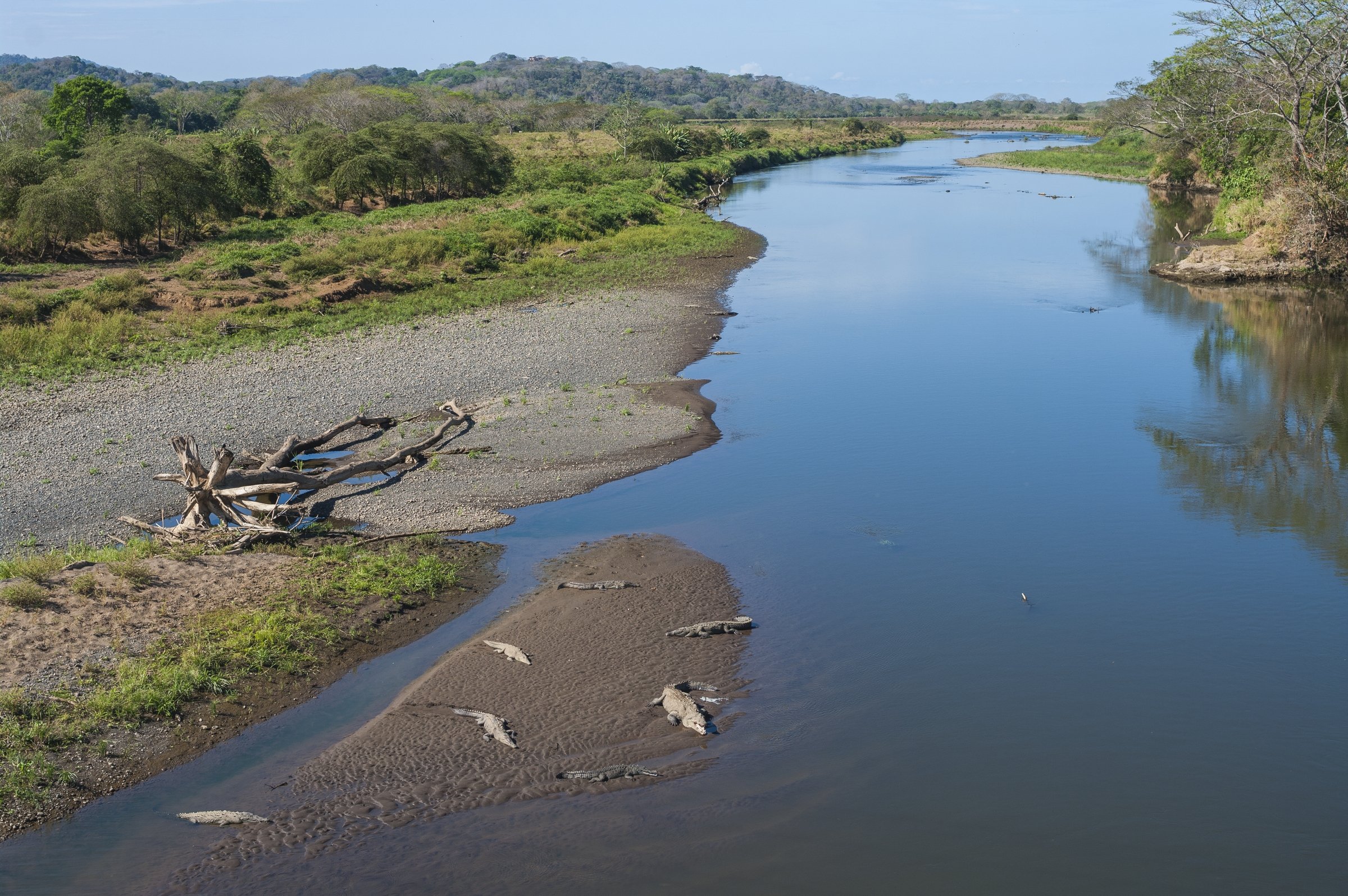  TÁRCOLES, COSTA RICA 