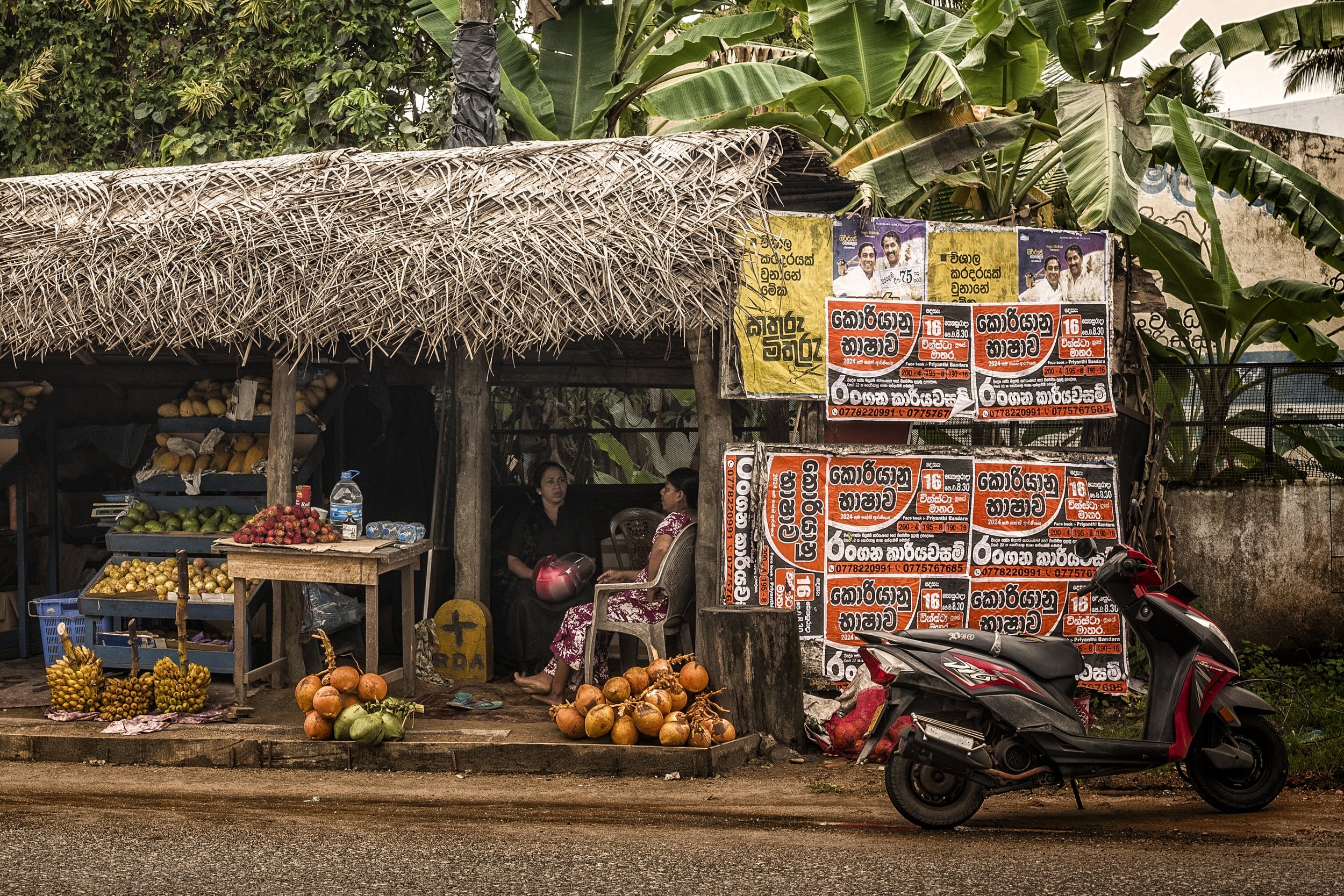  MIRISSA, SRI LANKA 