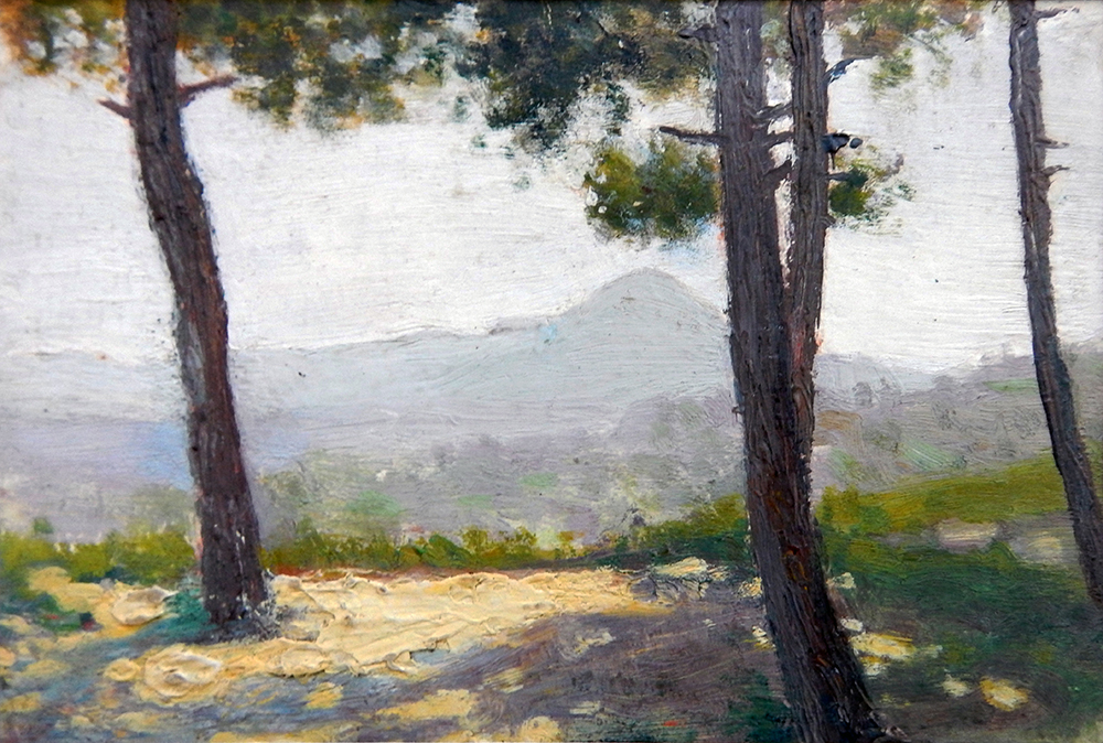 Landscape with pine Trees