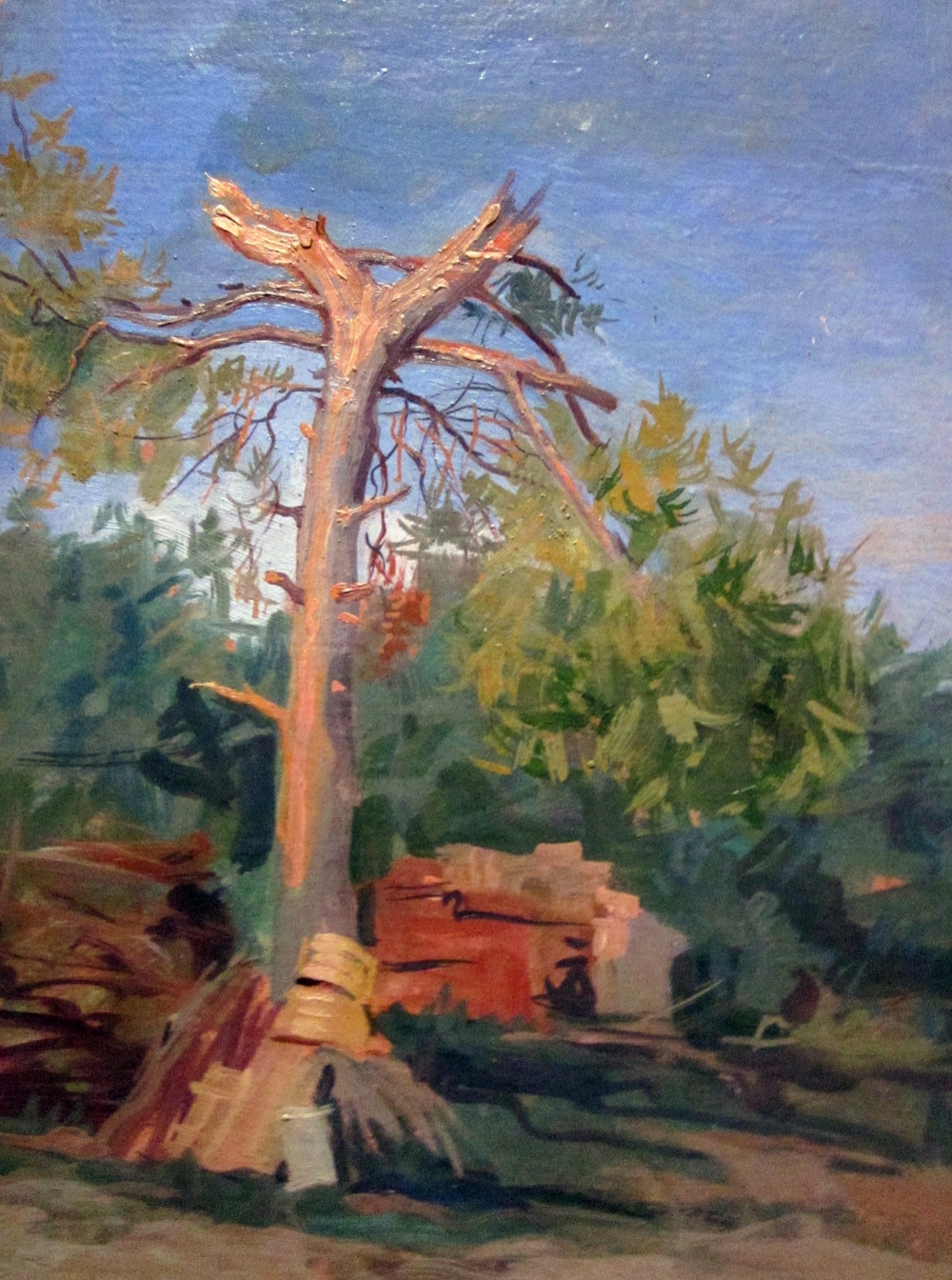 The Broken Tree (1955) 