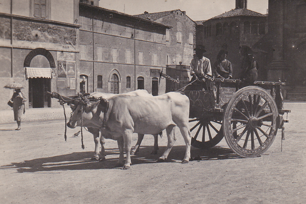 Farm Cart in Piazza Arringo (1930)